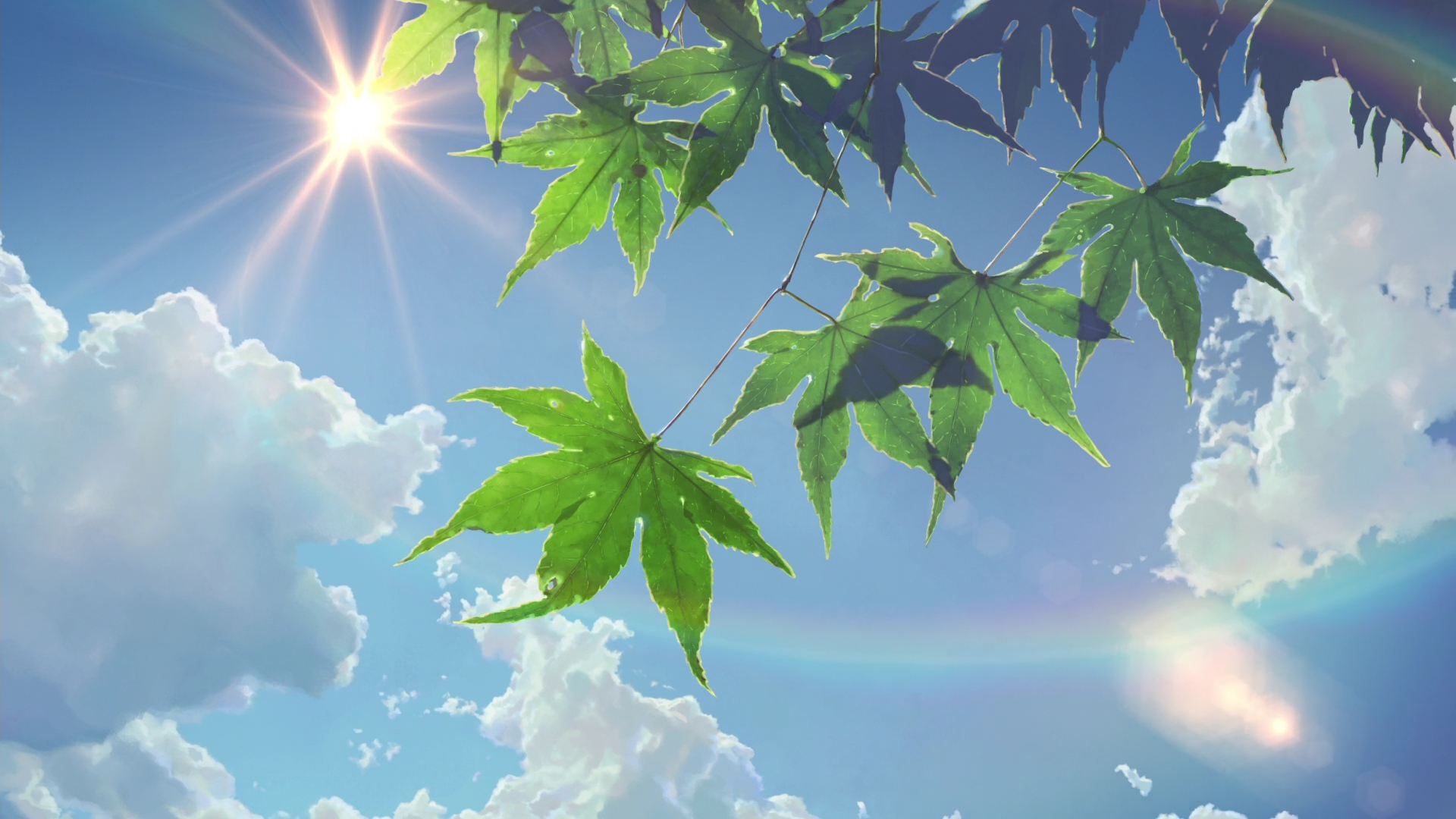 Wallpaper Leaves, tree, anime, sun, clouds