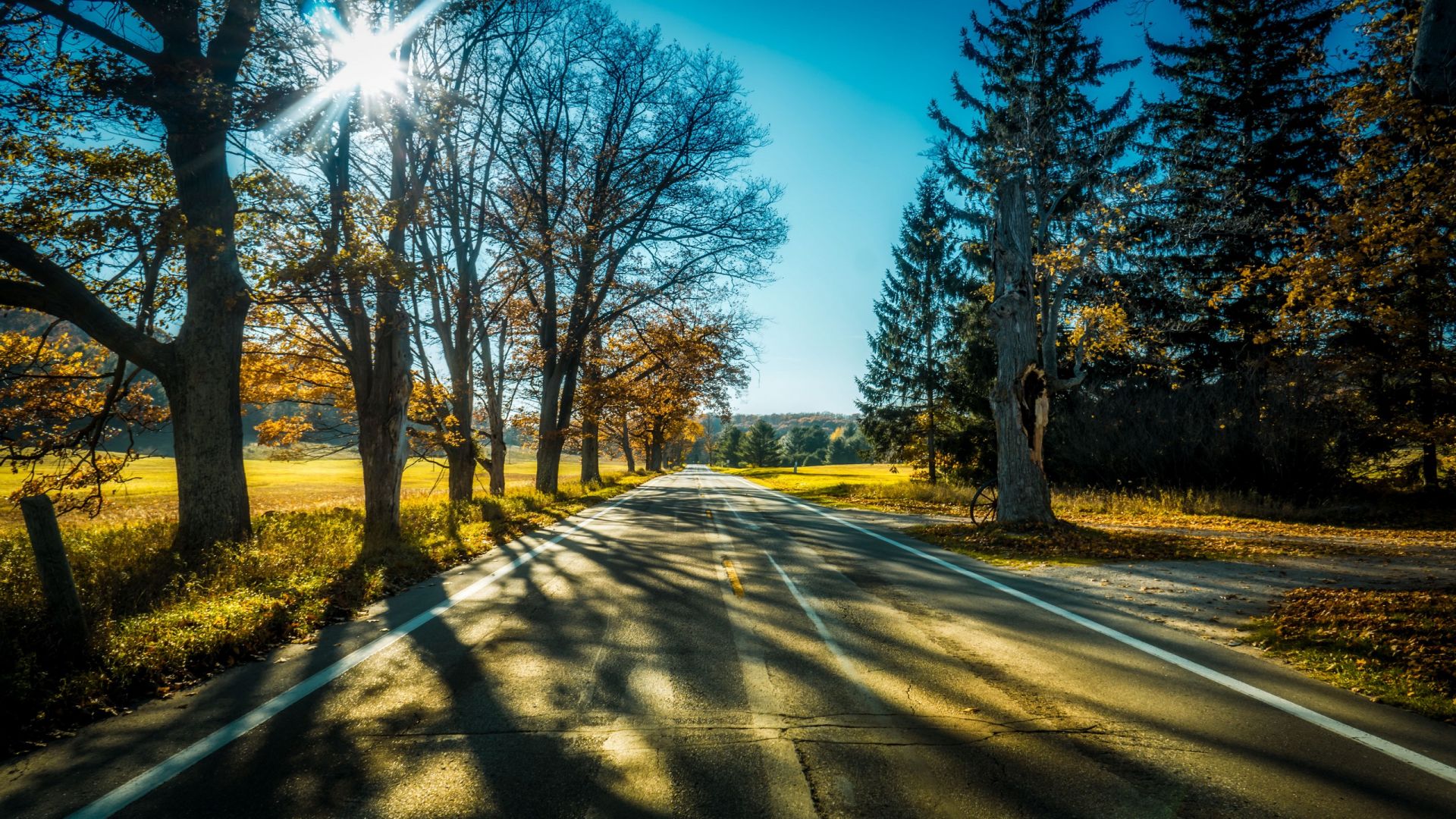 Wallpaper Highway, tree, landscape, sunlight