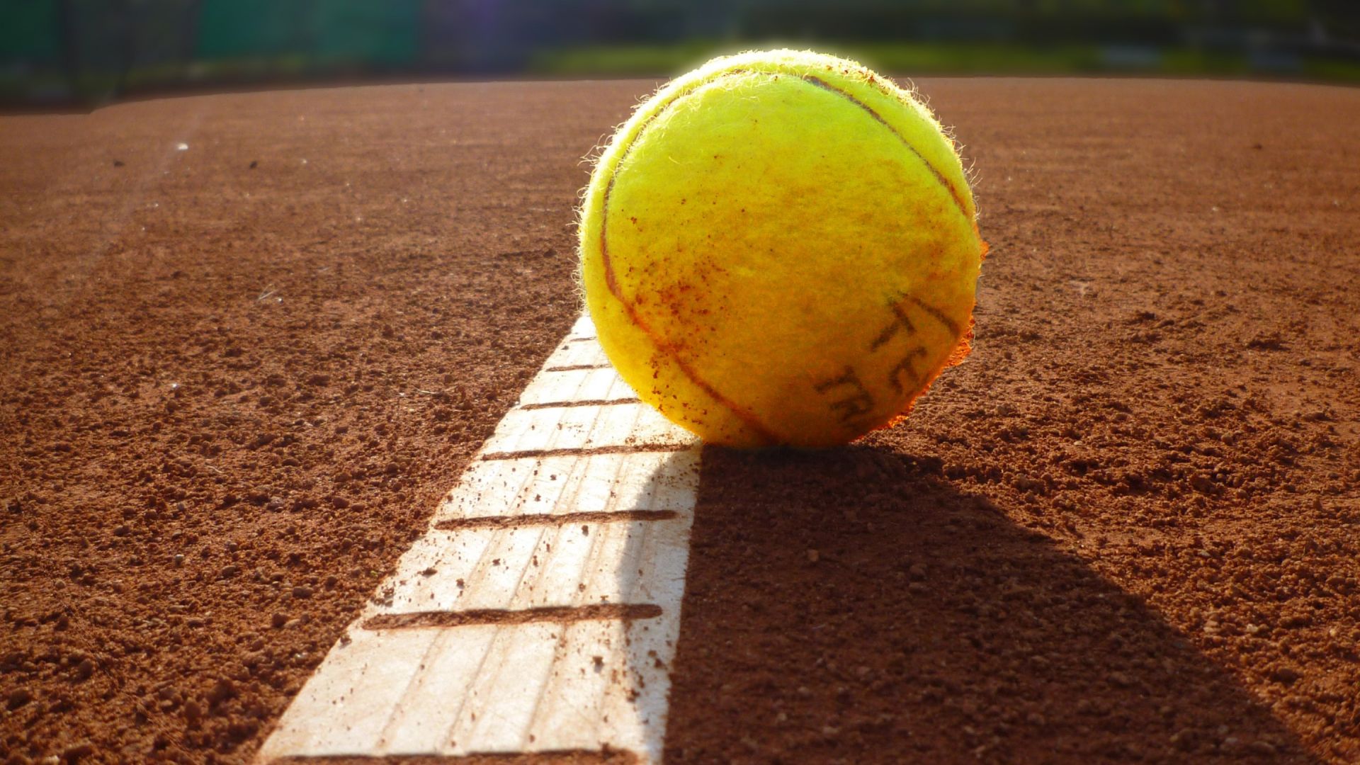 Wallpaper Tennis ball, sports, close up