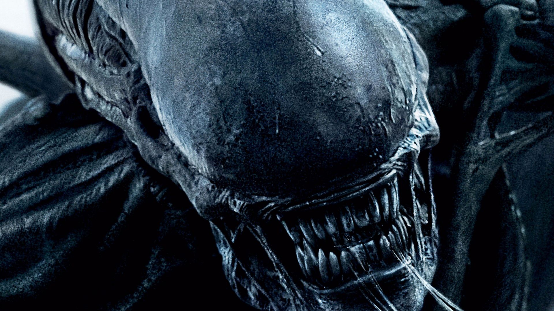 Wallpaper Alien: Covenant, movie, alien, creature