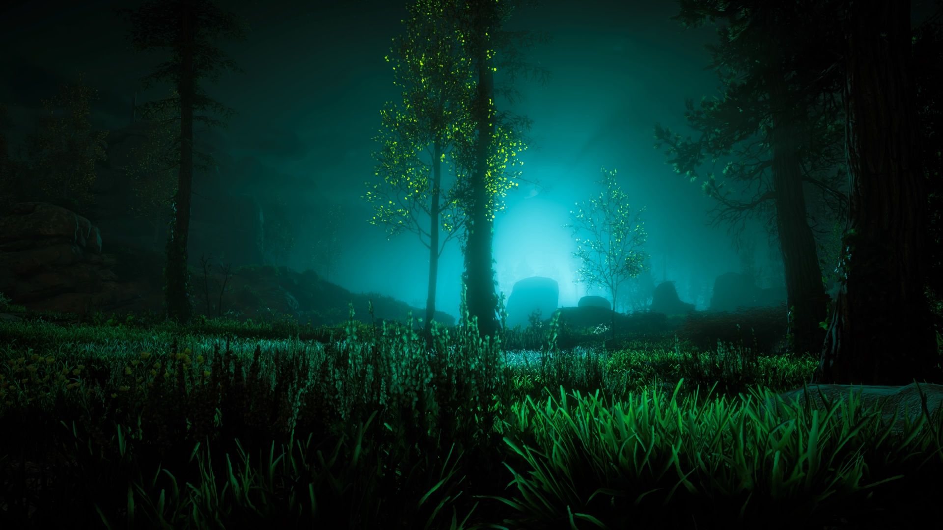 Wallpaper Horizon zero dawn video game, grass field, night