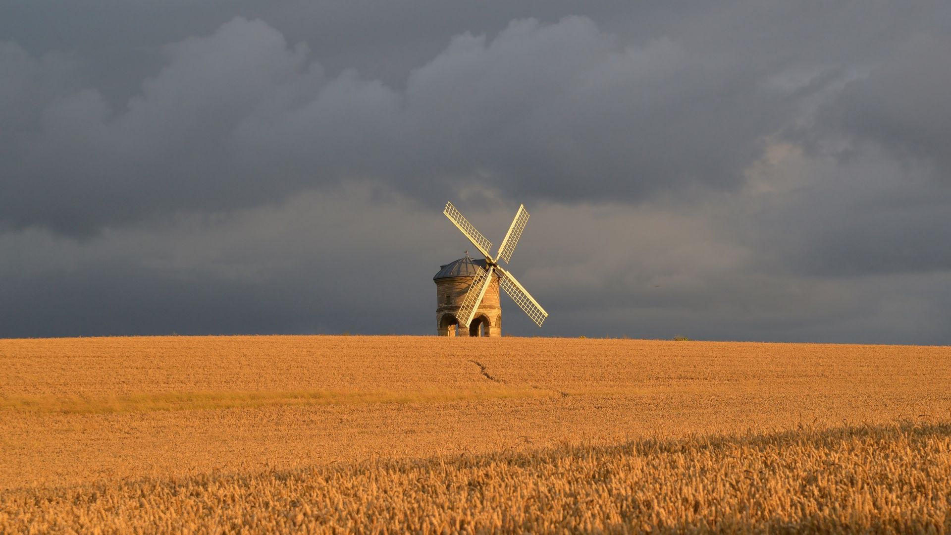 Wallpaper Windmill, wheat field, agriculture