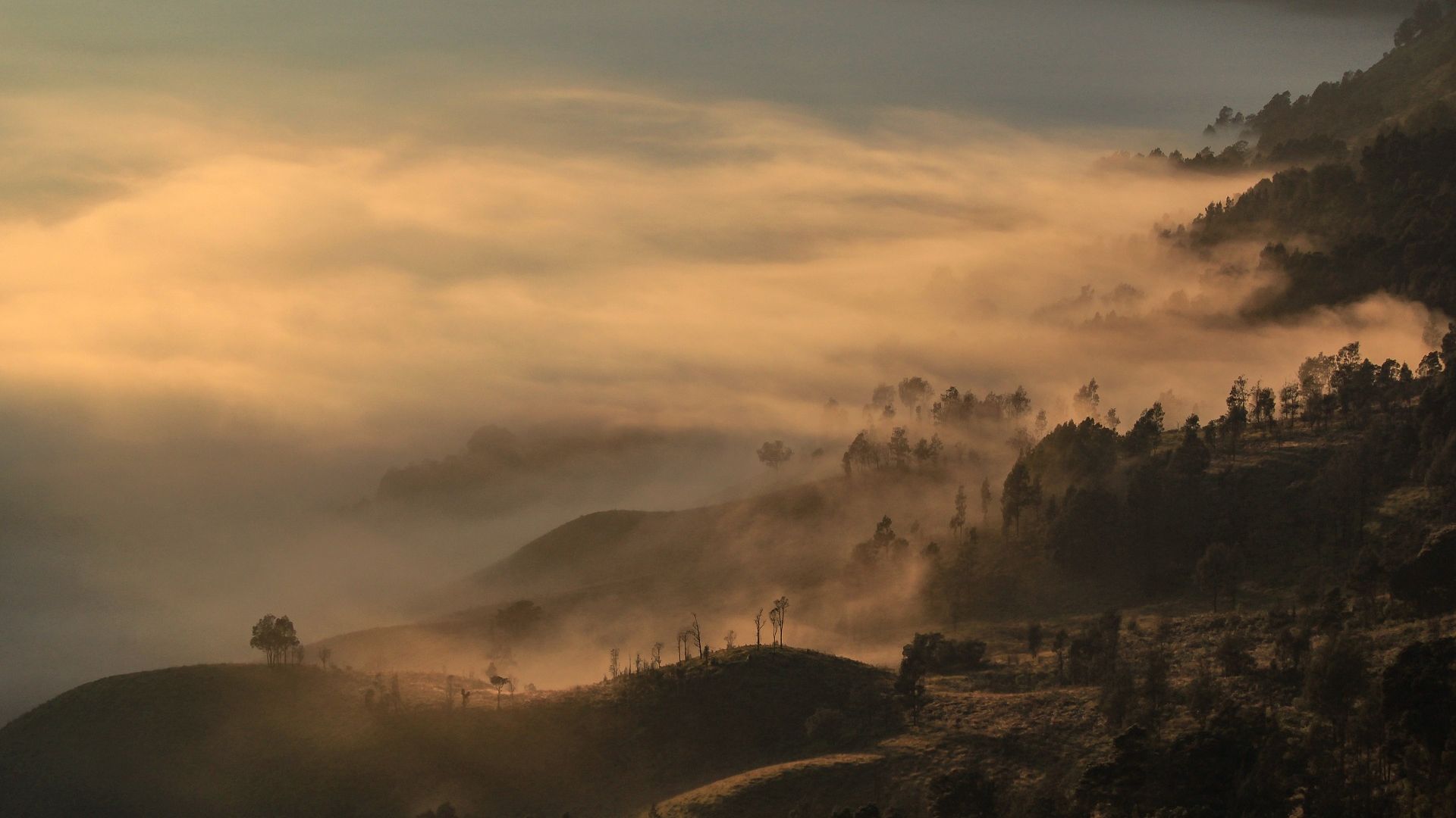 Wallpaper Morning, dawn, fog, mountains, mist, horizon, nature