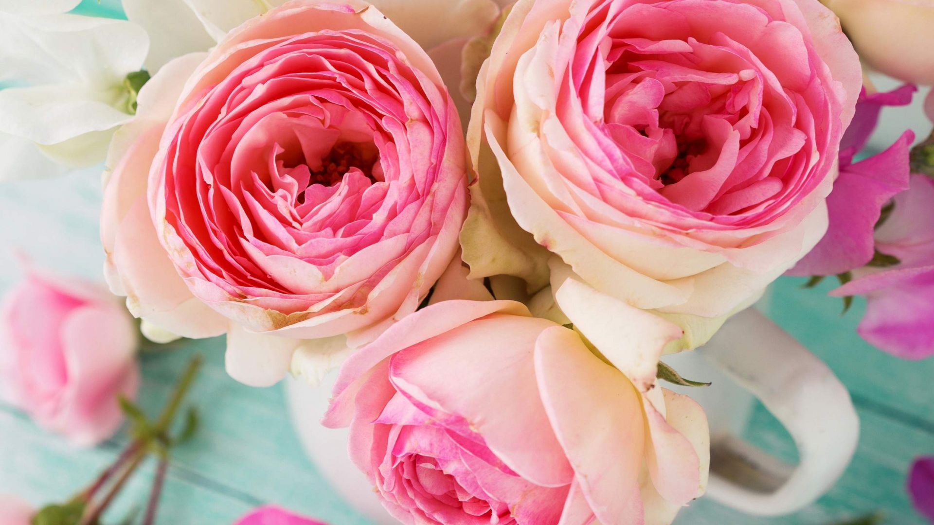 Wallpaper Rose pink flowers