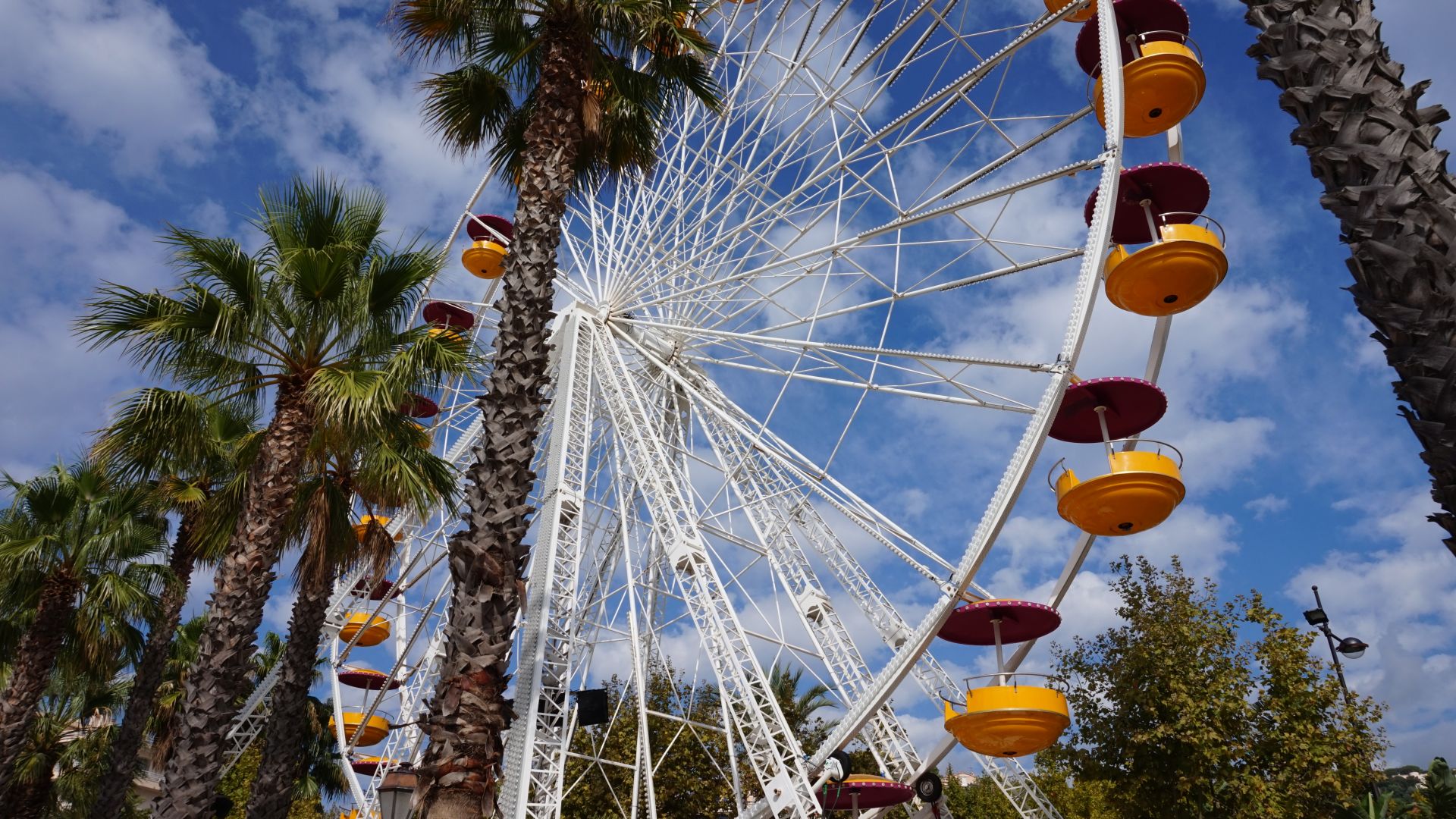 Wallpaper Ferris wheel of amusement and palm trees