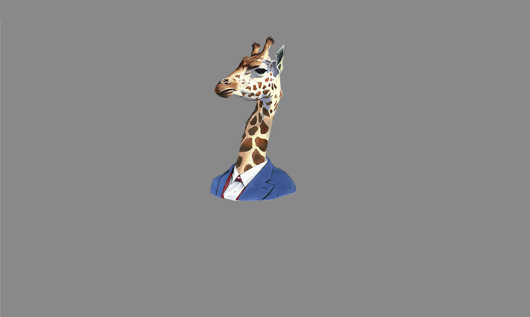 Wallpaper Giraffe muzzle, minimal