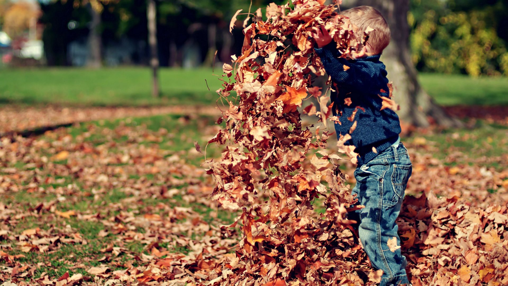 Wallpaper Kids and leaves