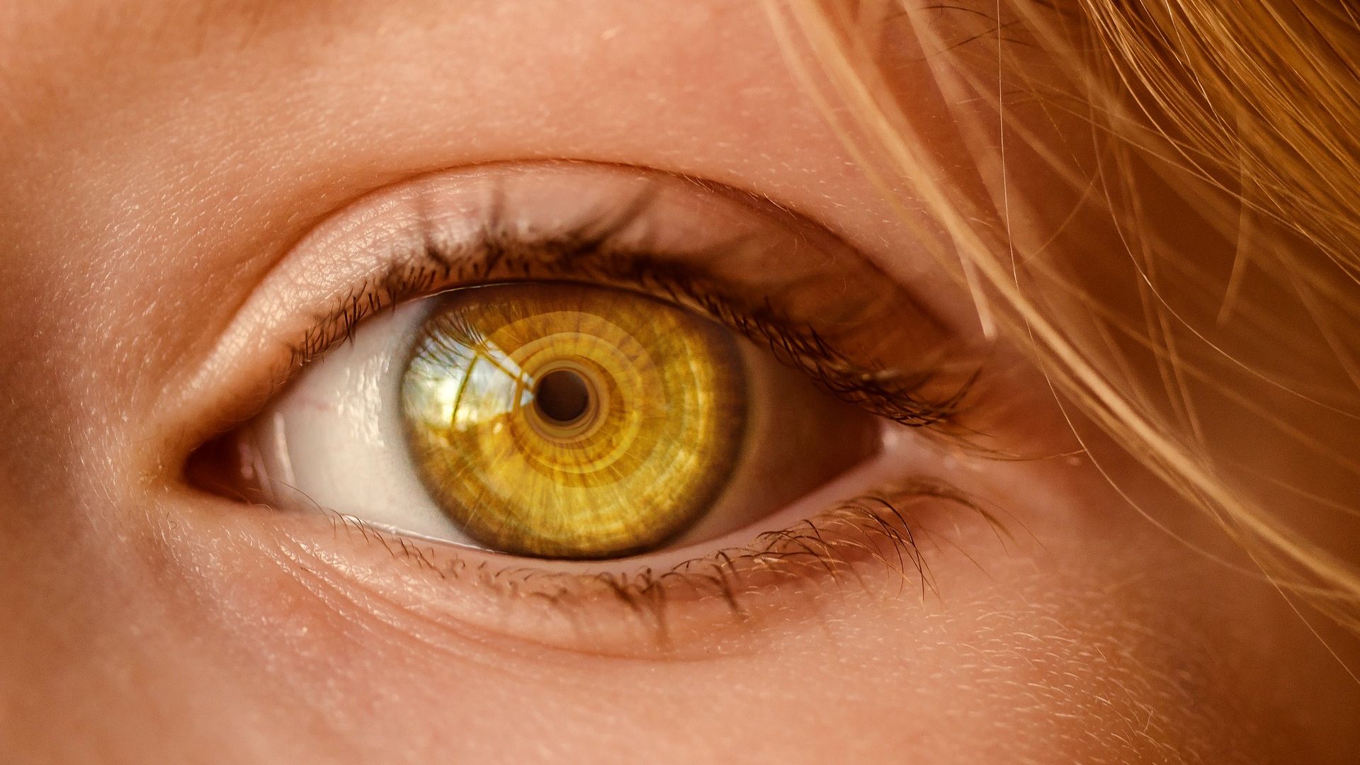 Wallpaper Yellow eyes, close up