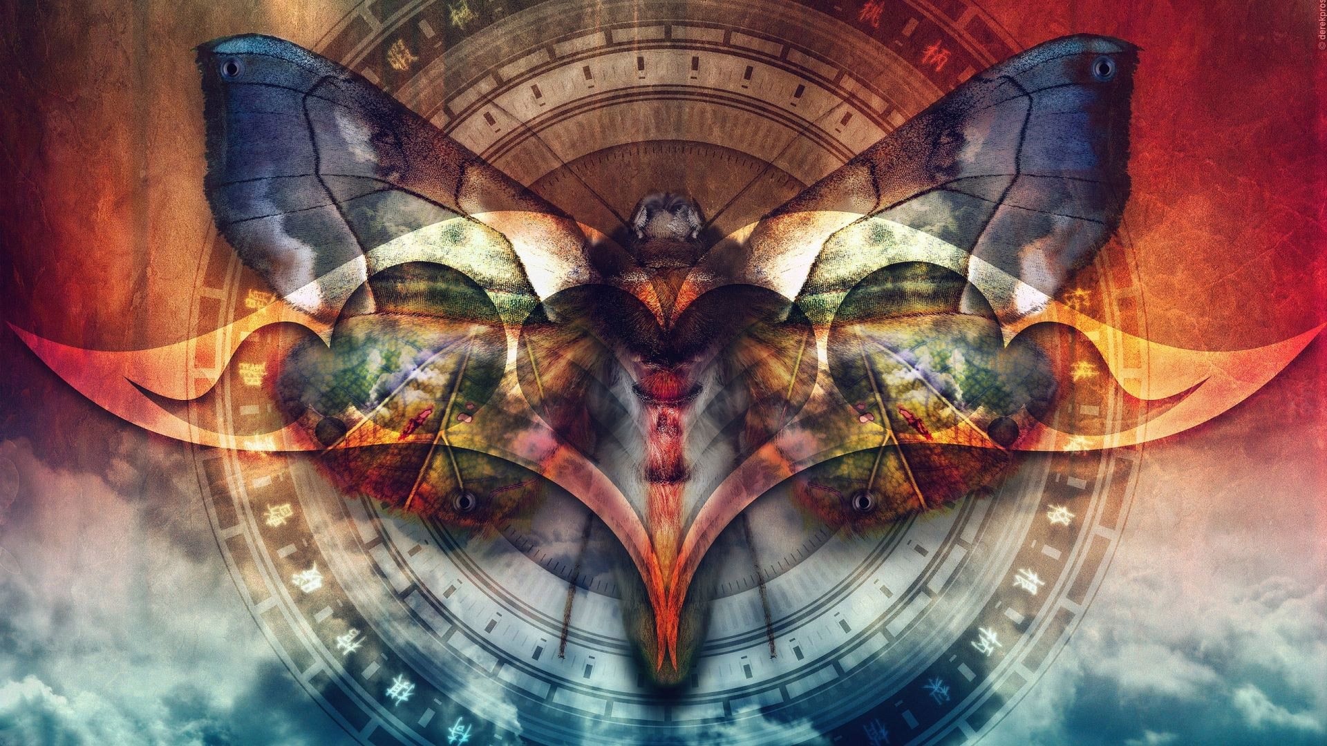 Wallpaper Digital artwork of butter fly