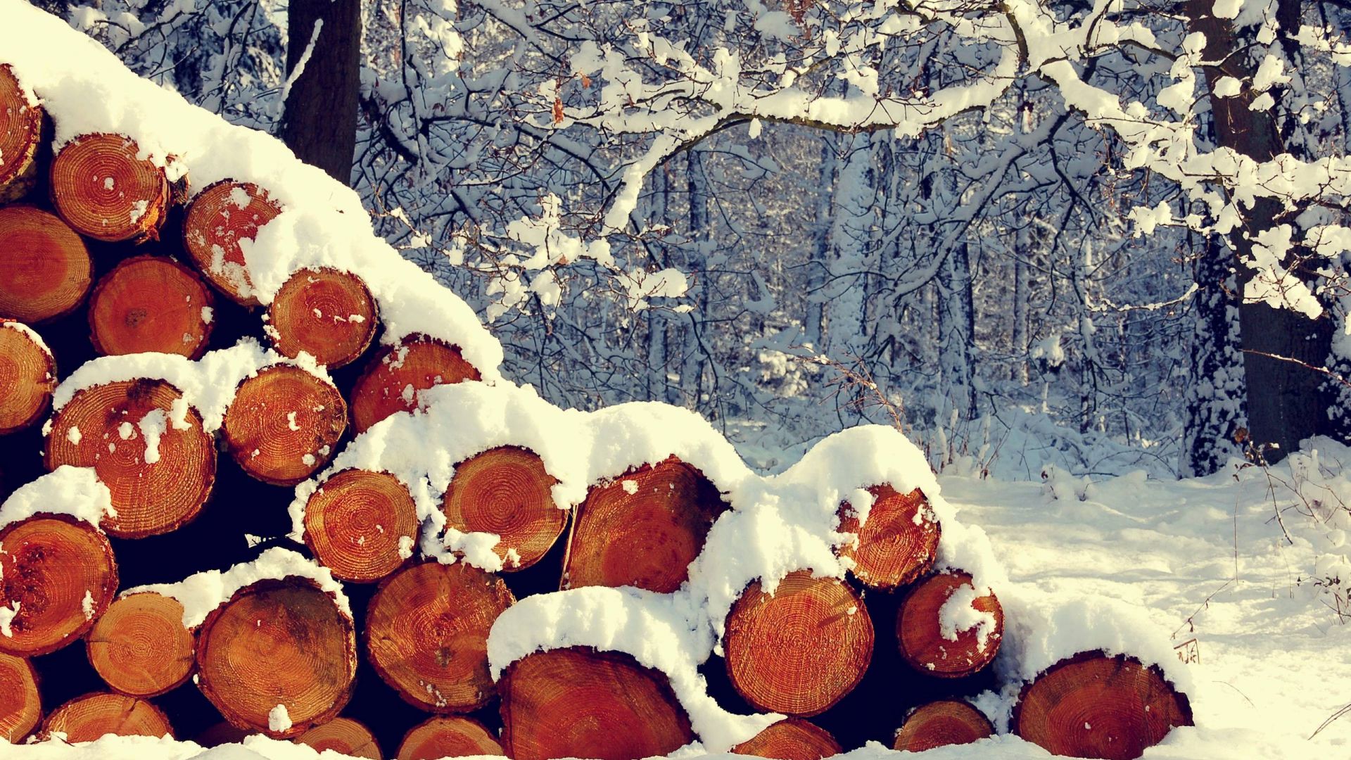 Wallpaper Snow on wood log