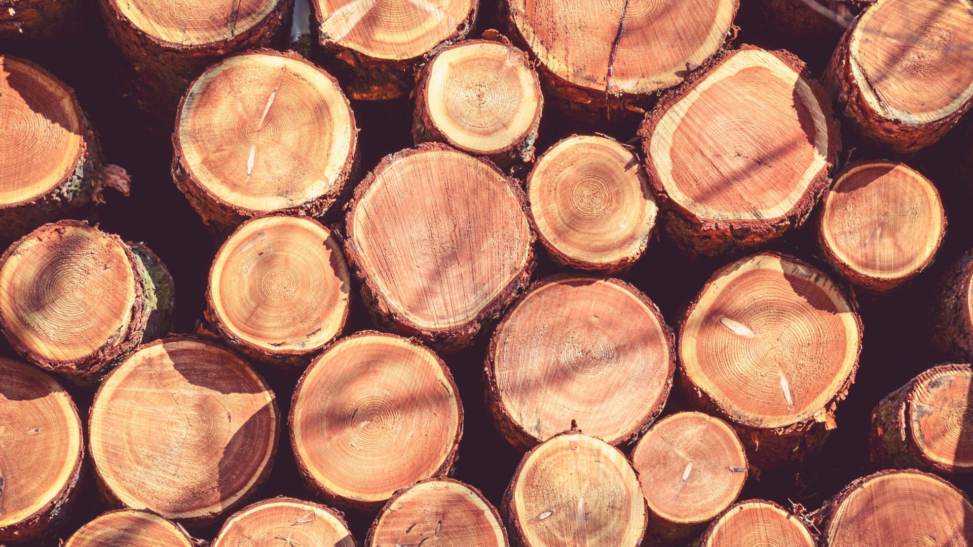 Wallpaper Wood logs