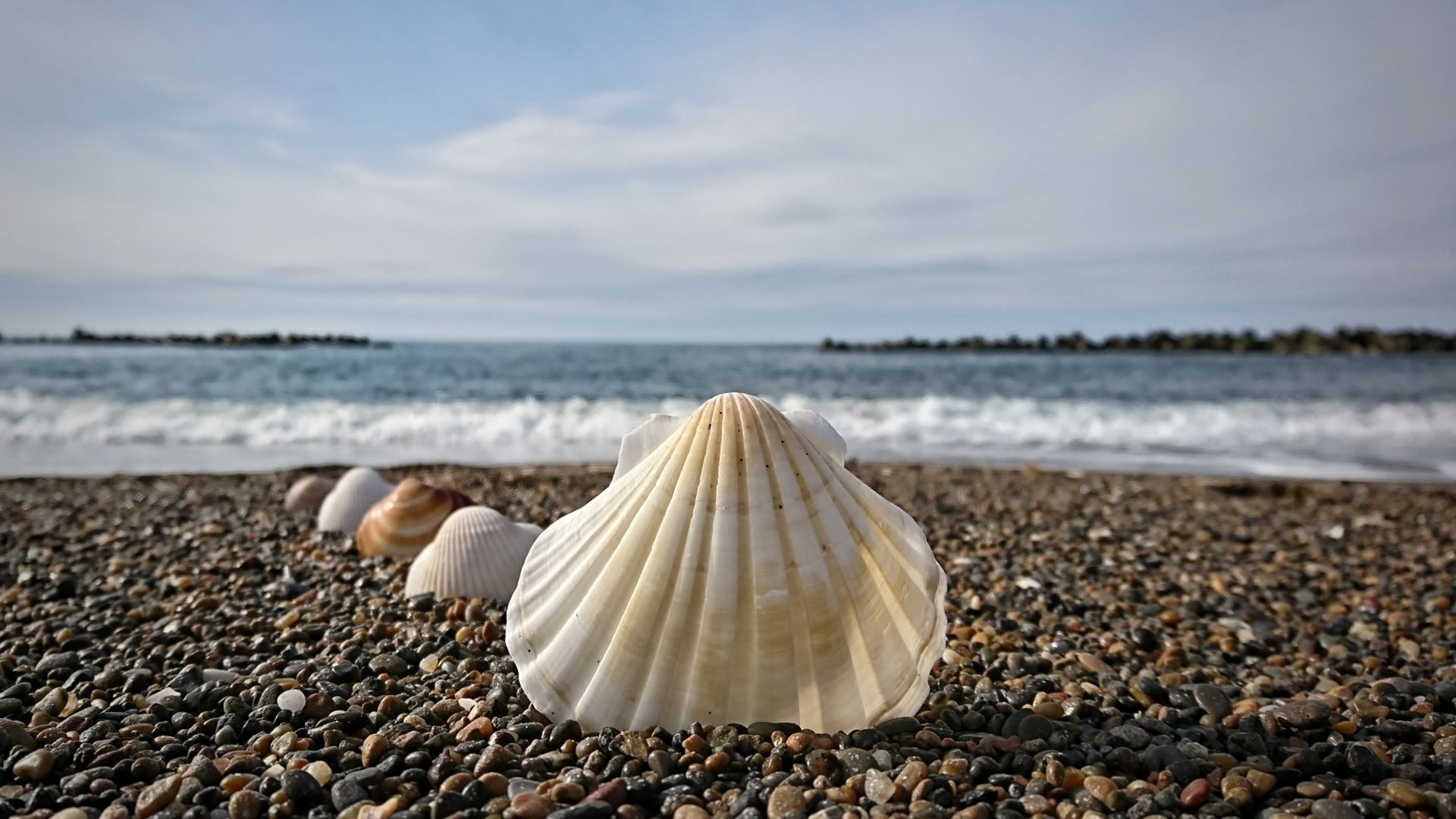 Wallpaper Shell, pebbles, beach