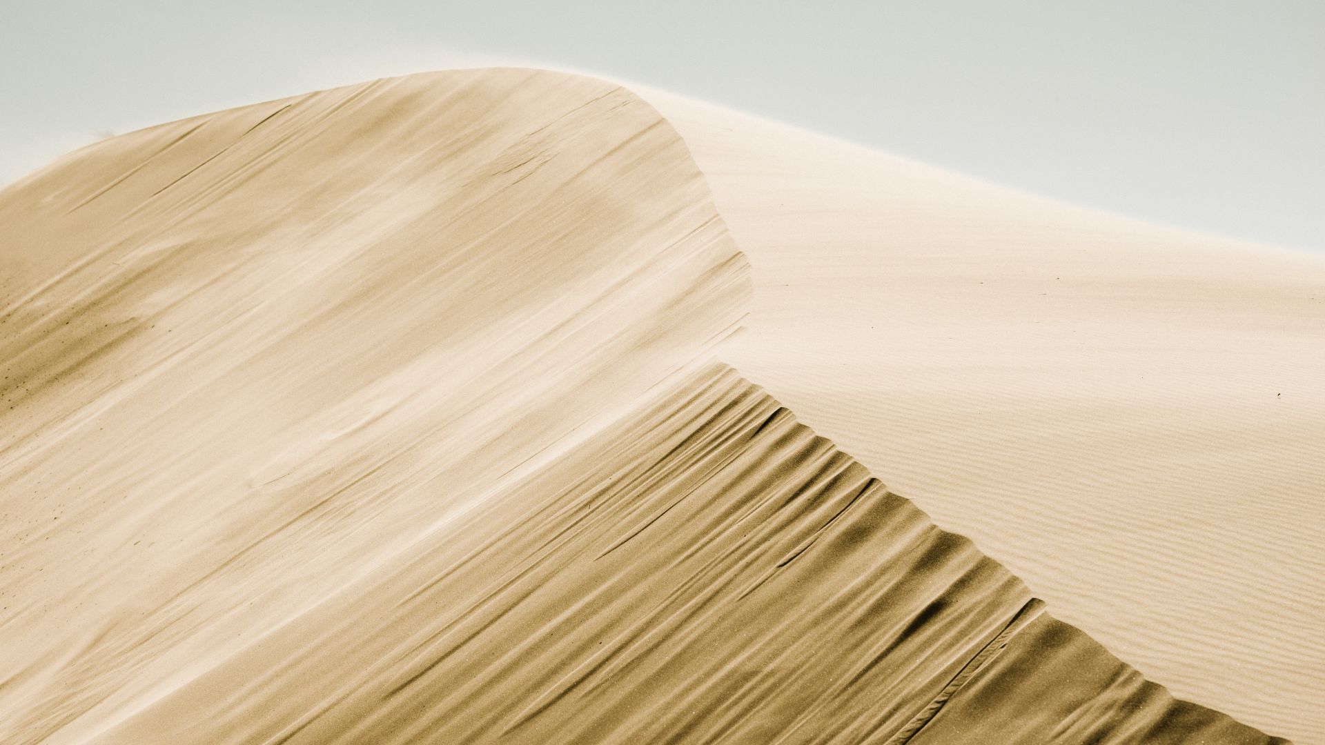 Wallpaper Sand dunes of desert