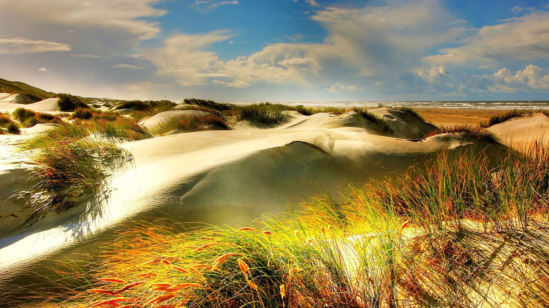 Wallpaper Dunes, north sea, beach, grass