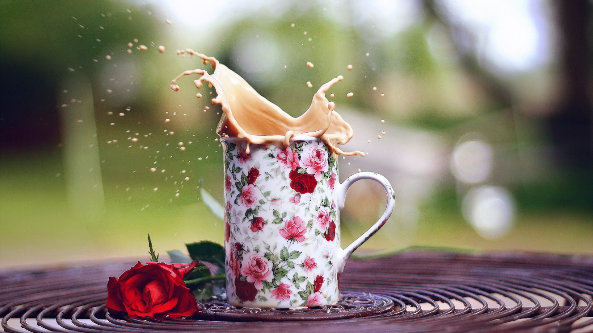 Wallpaper Coffee cup, rose, splashes