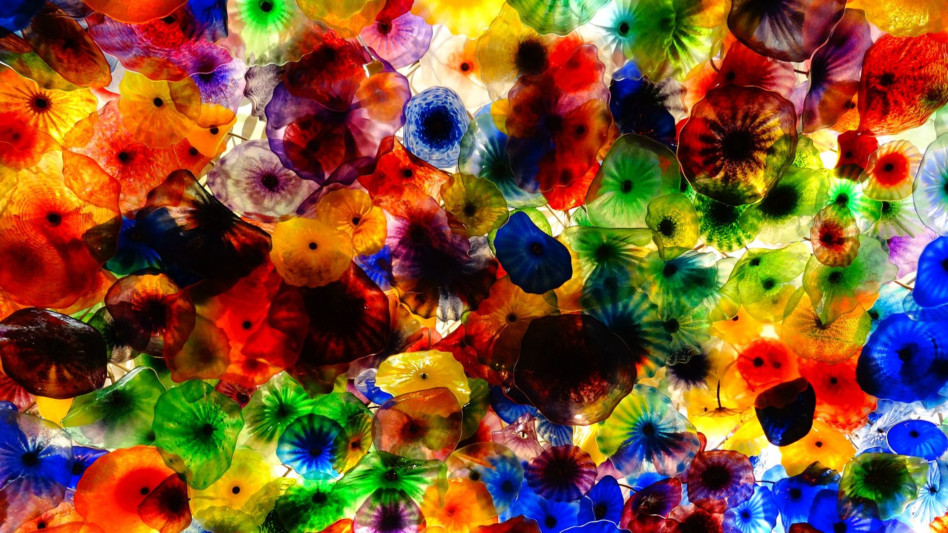 Wallpaper Chihuly glass, colorful