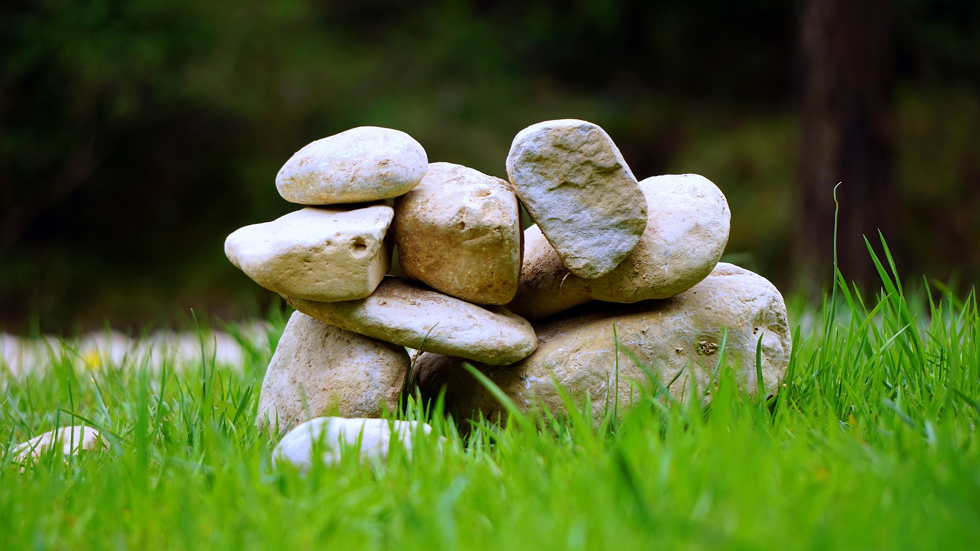 Wallpaper Stones, rocks, grass