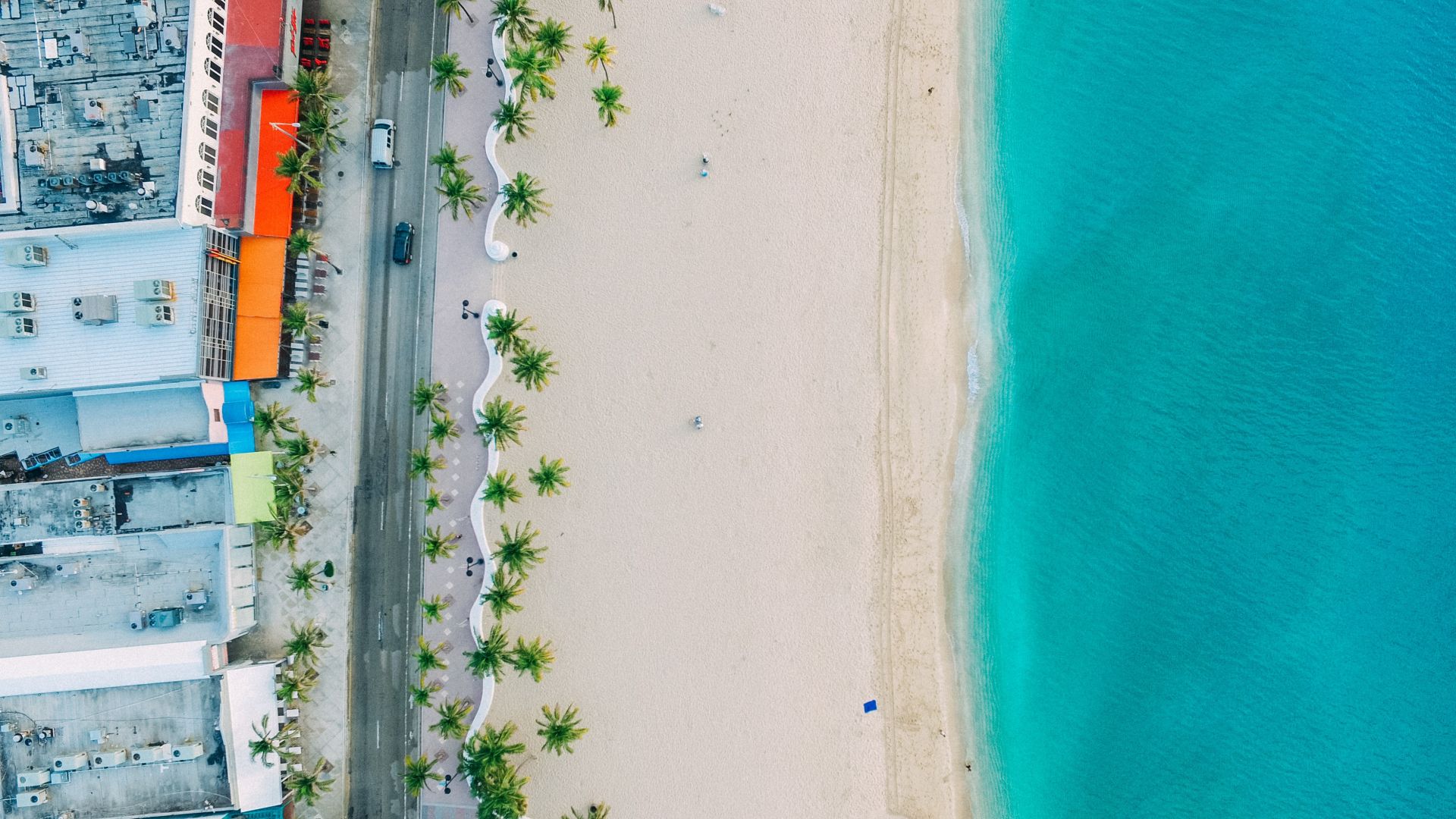 Wallpaper Beach, blue sea, palm tree, Aerial view