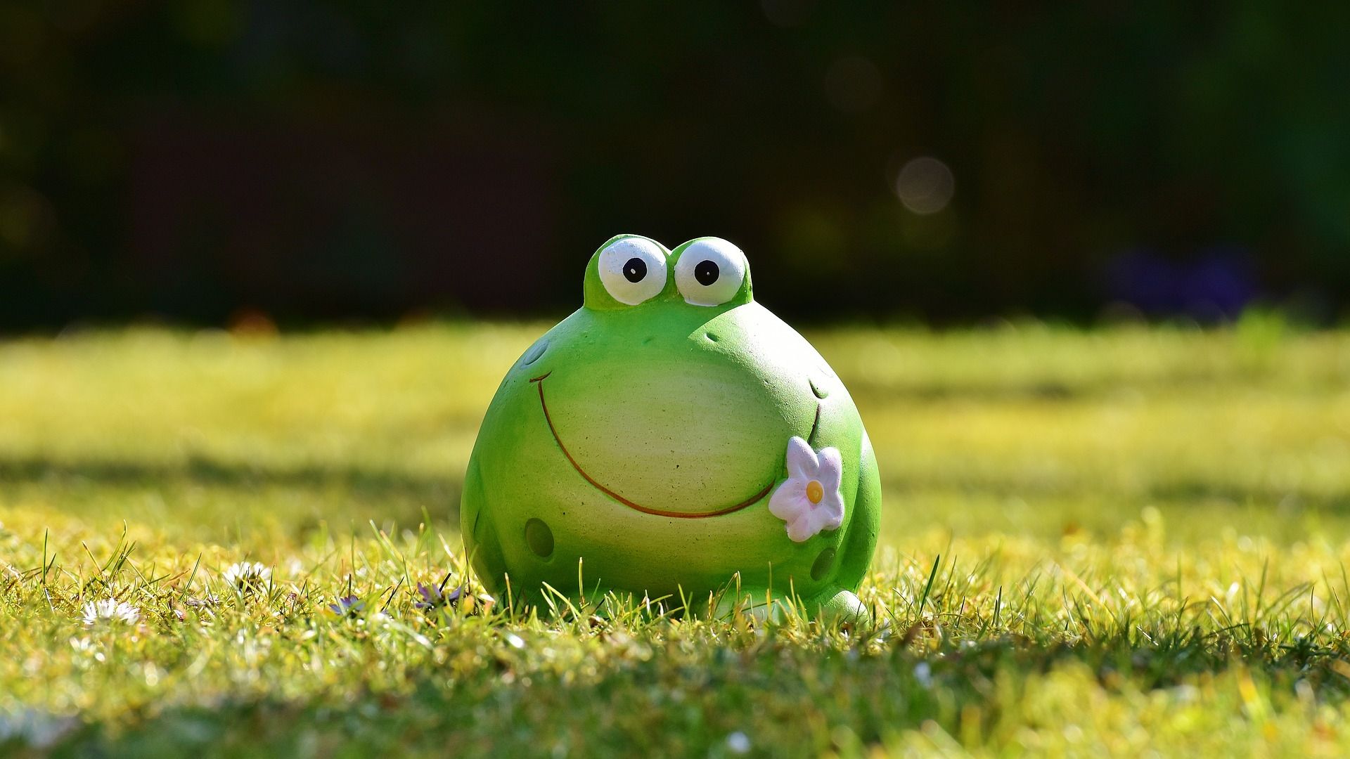 Wallpaper Frog toy, grass field, funny