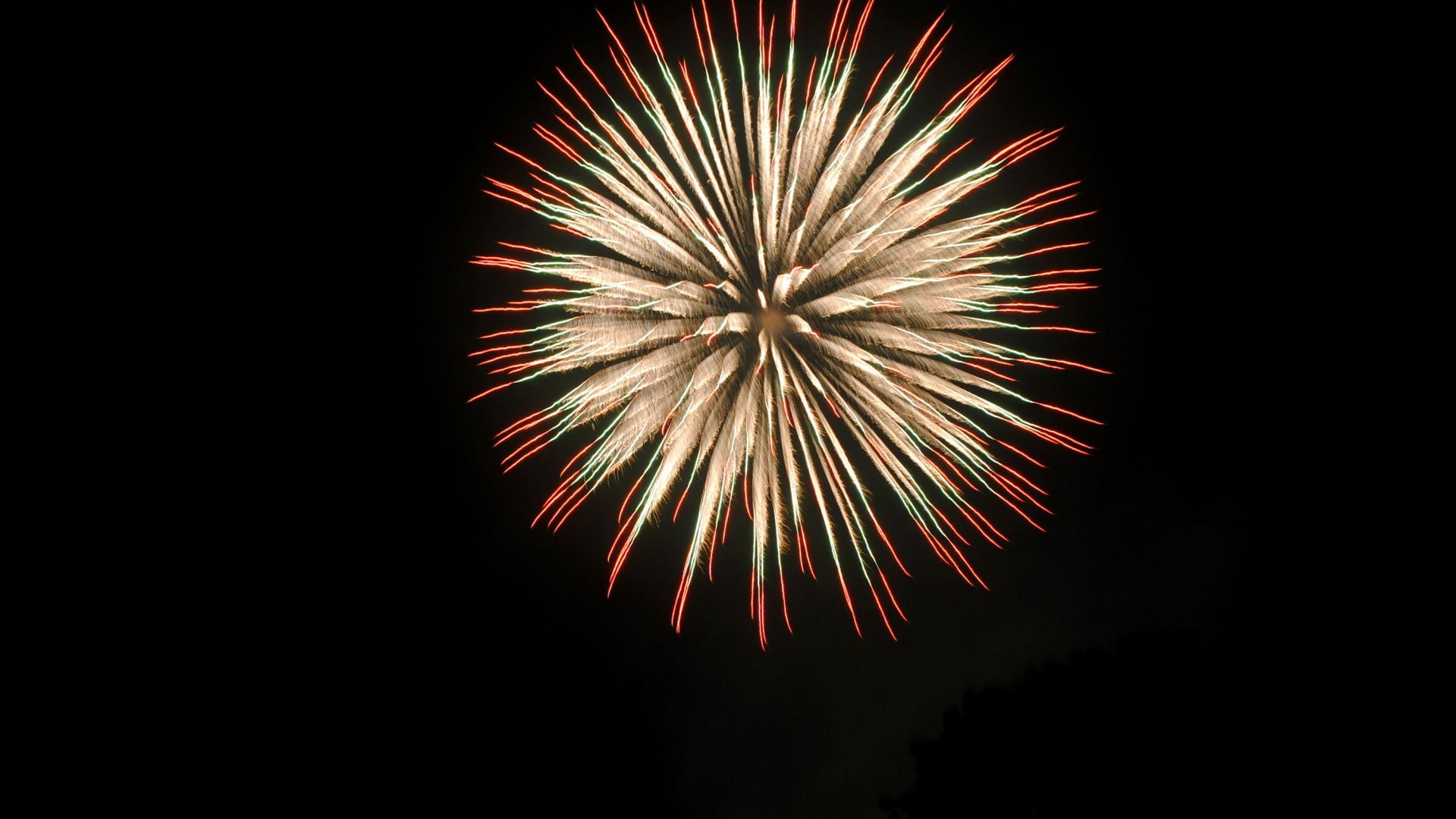 Wallpaper Fireworks, celebrations, night