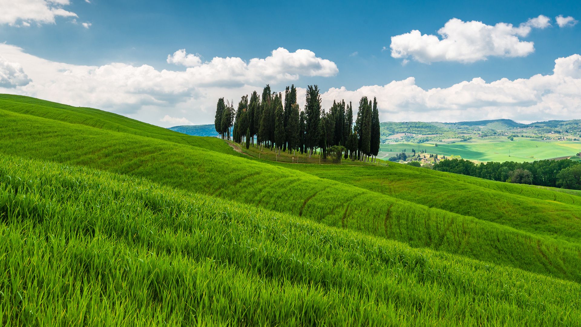 Wallpaper Italy tuscany hills grass field