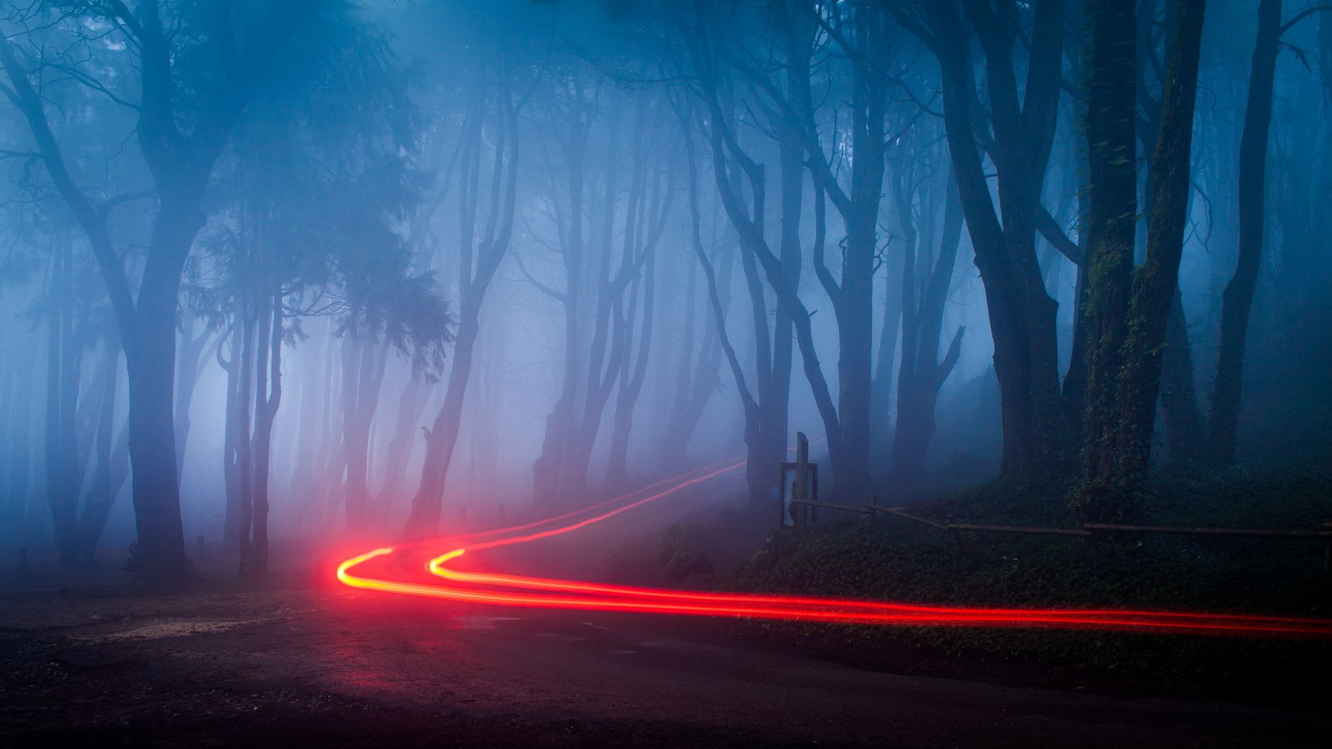 Wallpaper Foggy forest road lights 