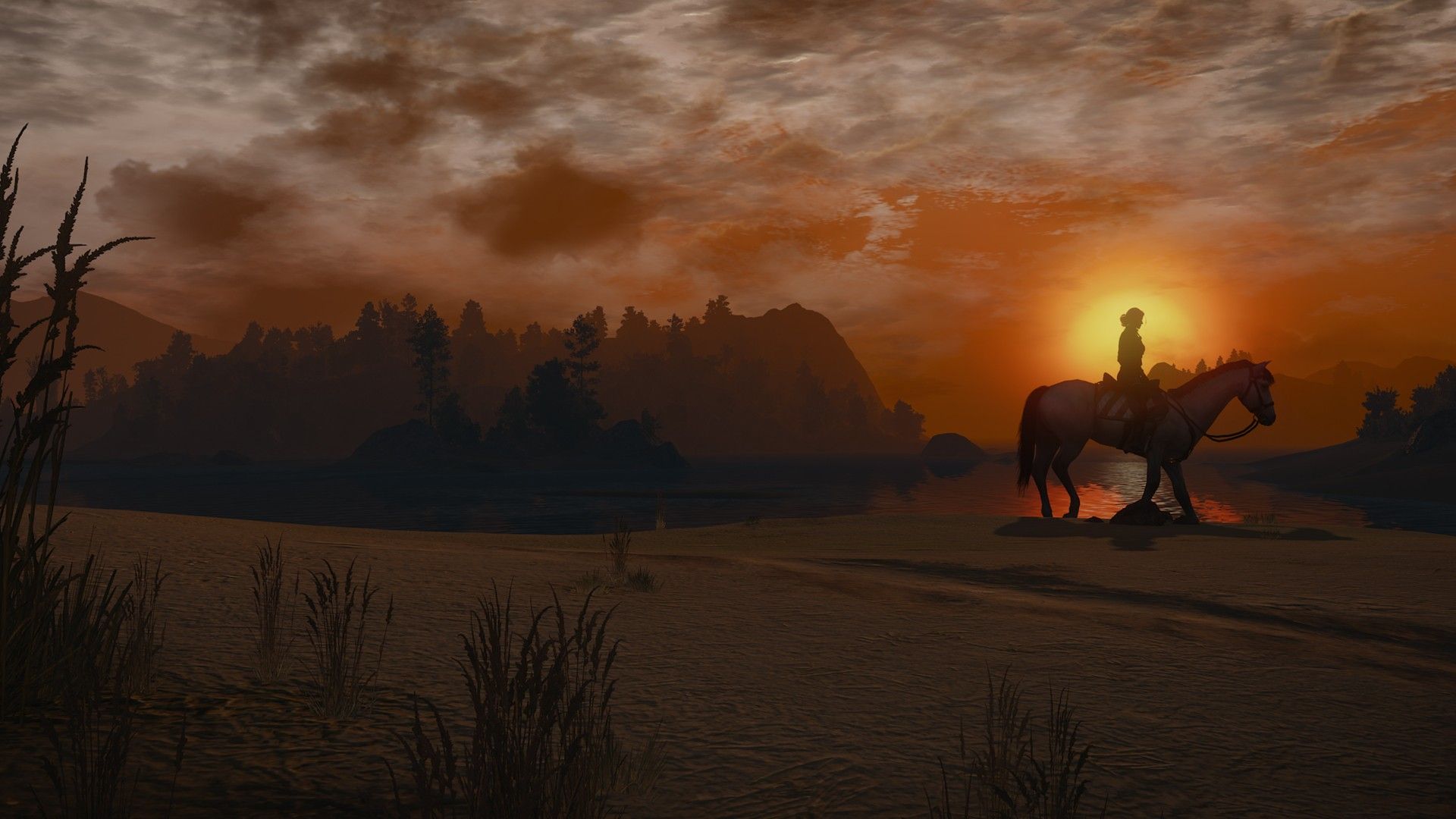 Wallpaper The Witcher 3: Wild Hunt Video game, sunset