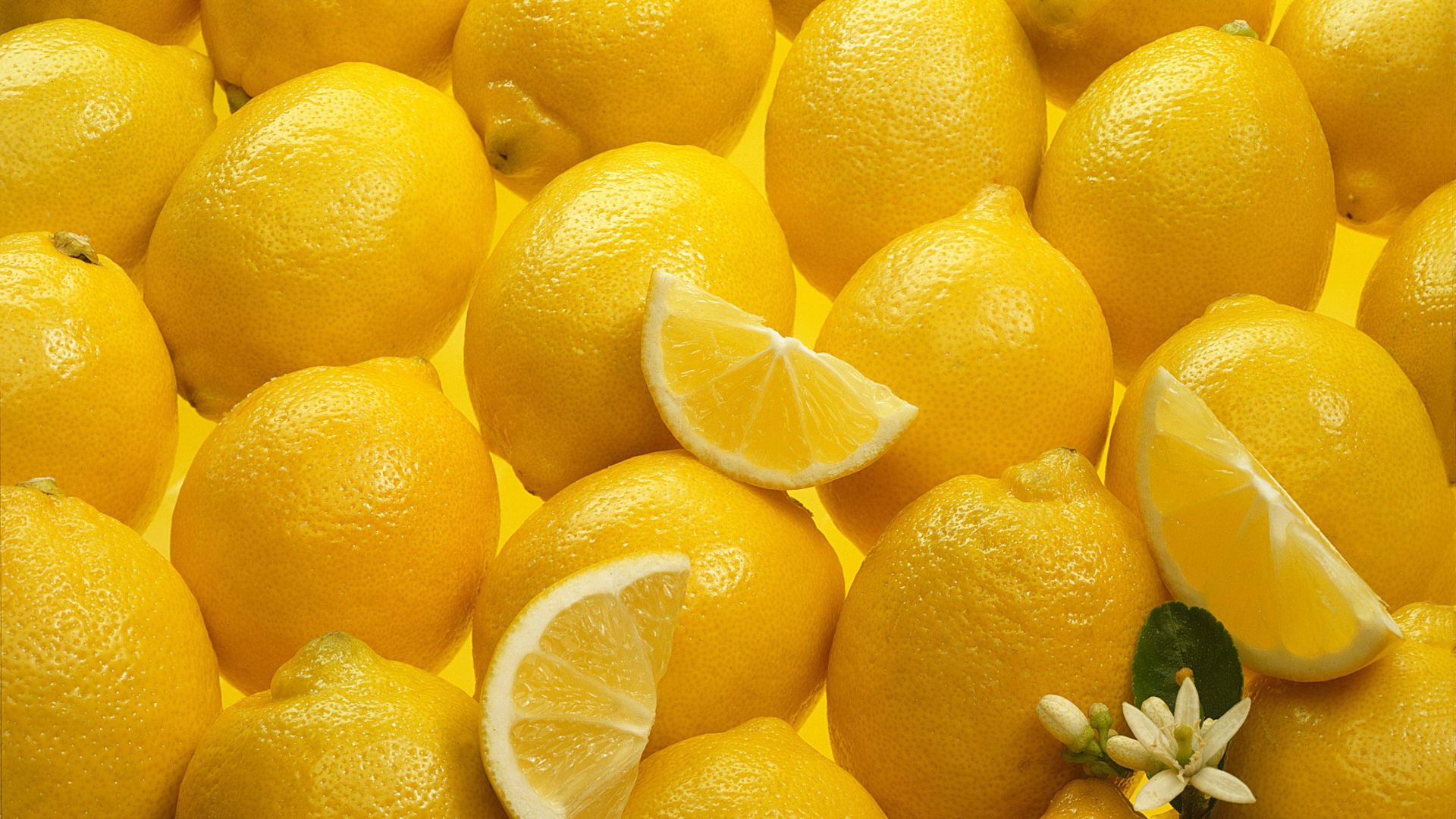 Wallpaper Lemon fruits, slices