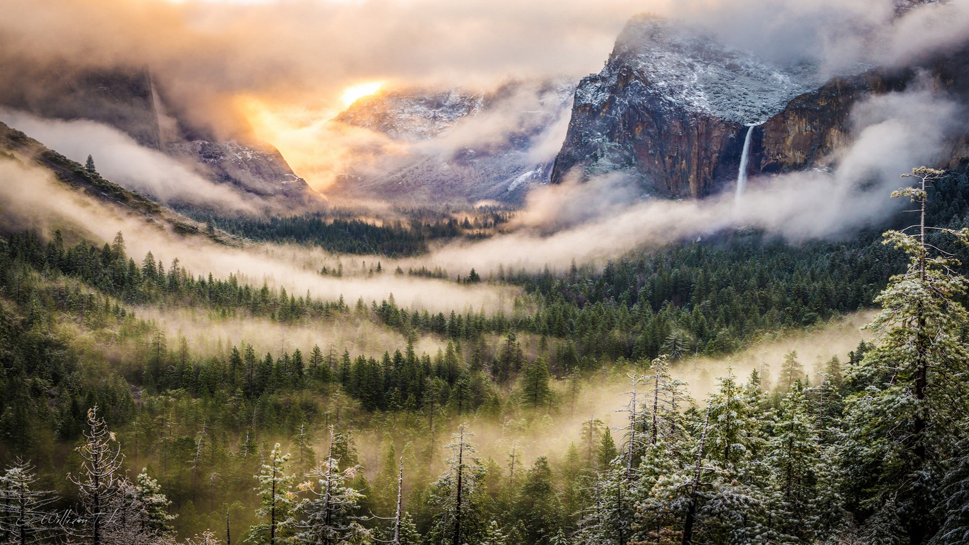 Wallpaper Horizon, nature, mist, fog, tree, mountains