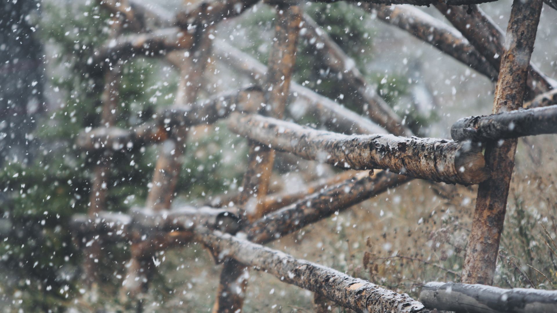 Wallpaper Snowfall, wooden fence, winter