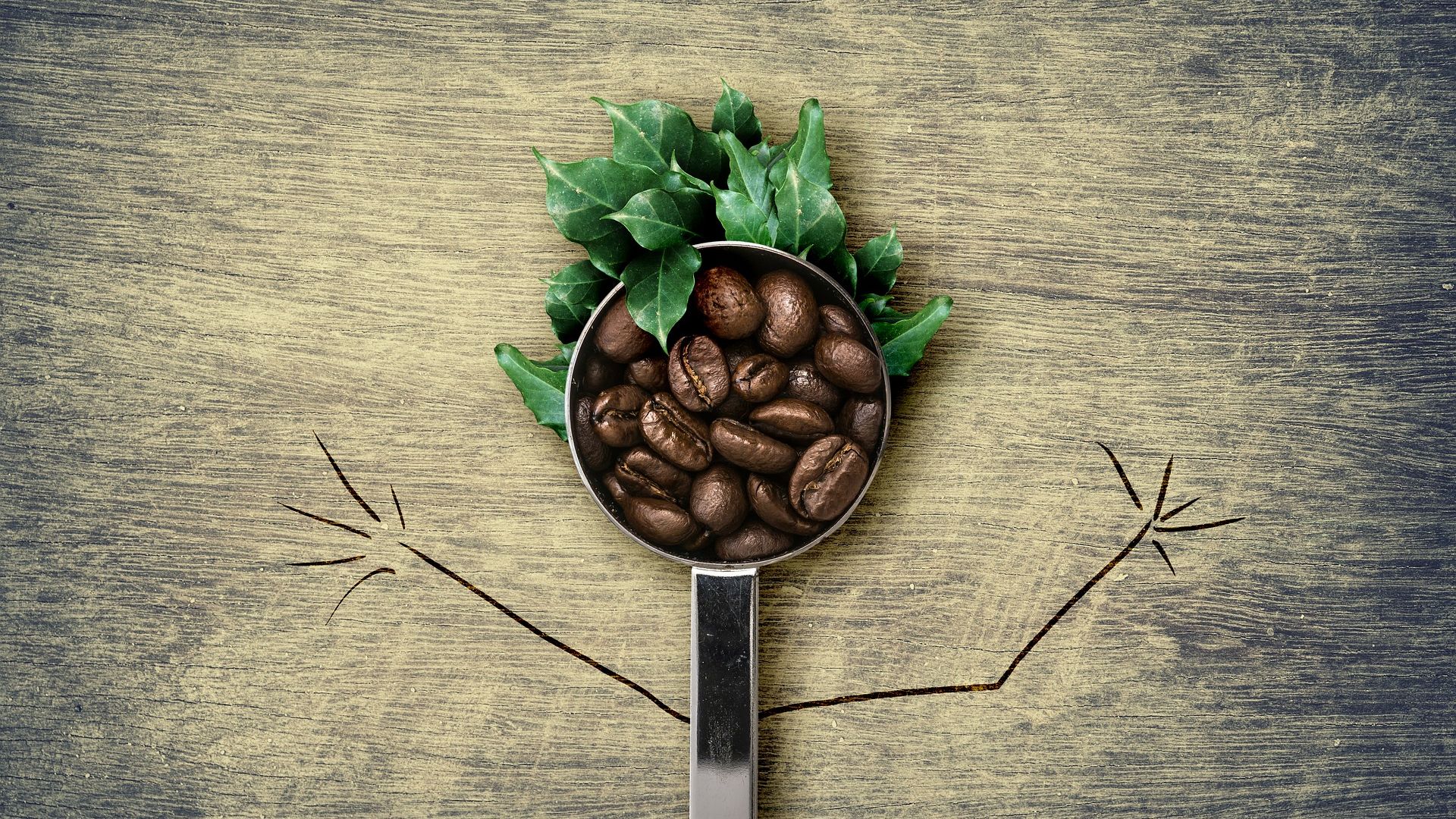 Wallpaper Coffee beans, spoon, leaves