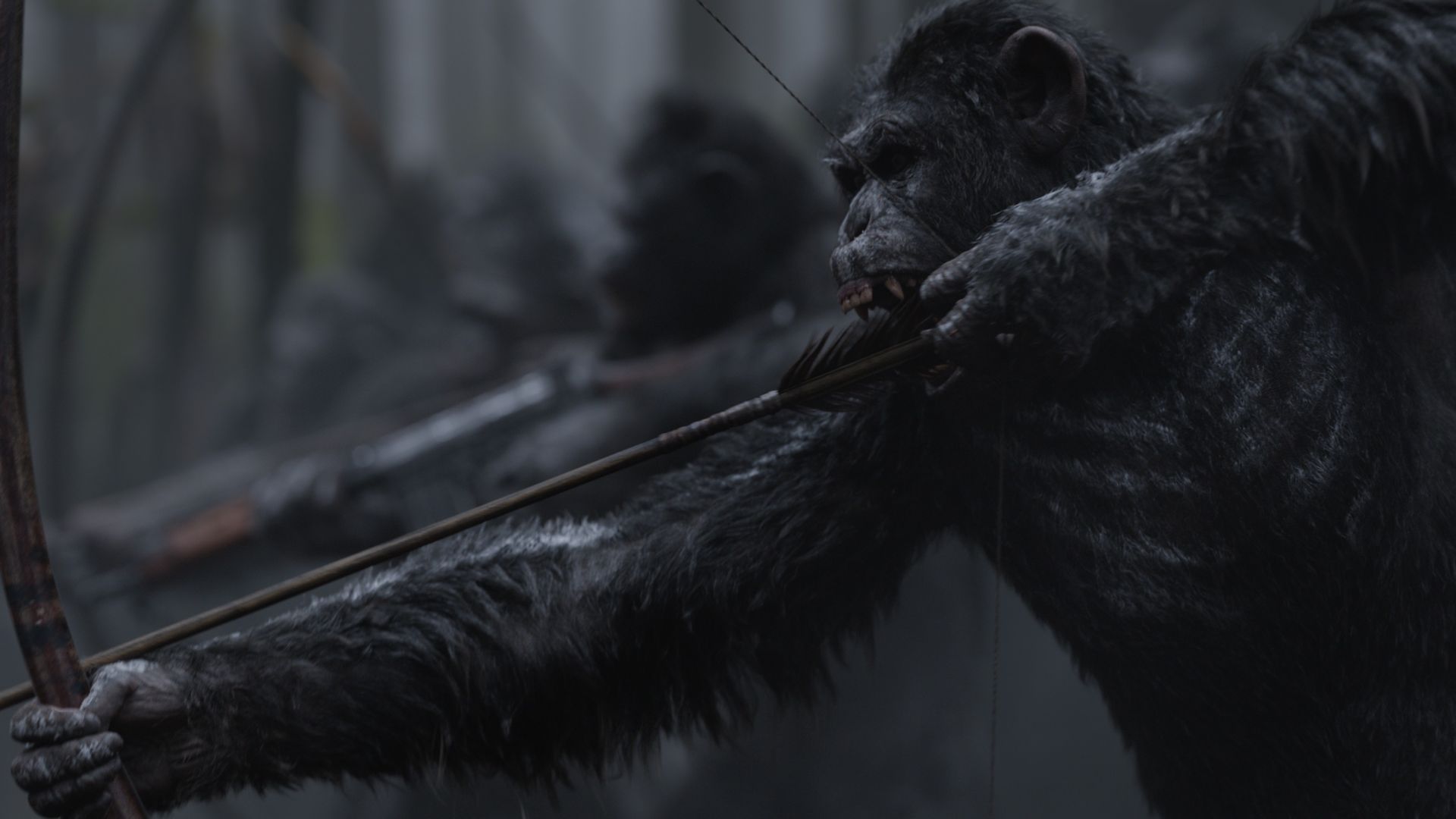 Wallpaper 2017 movie, War for the Planet of the Apes