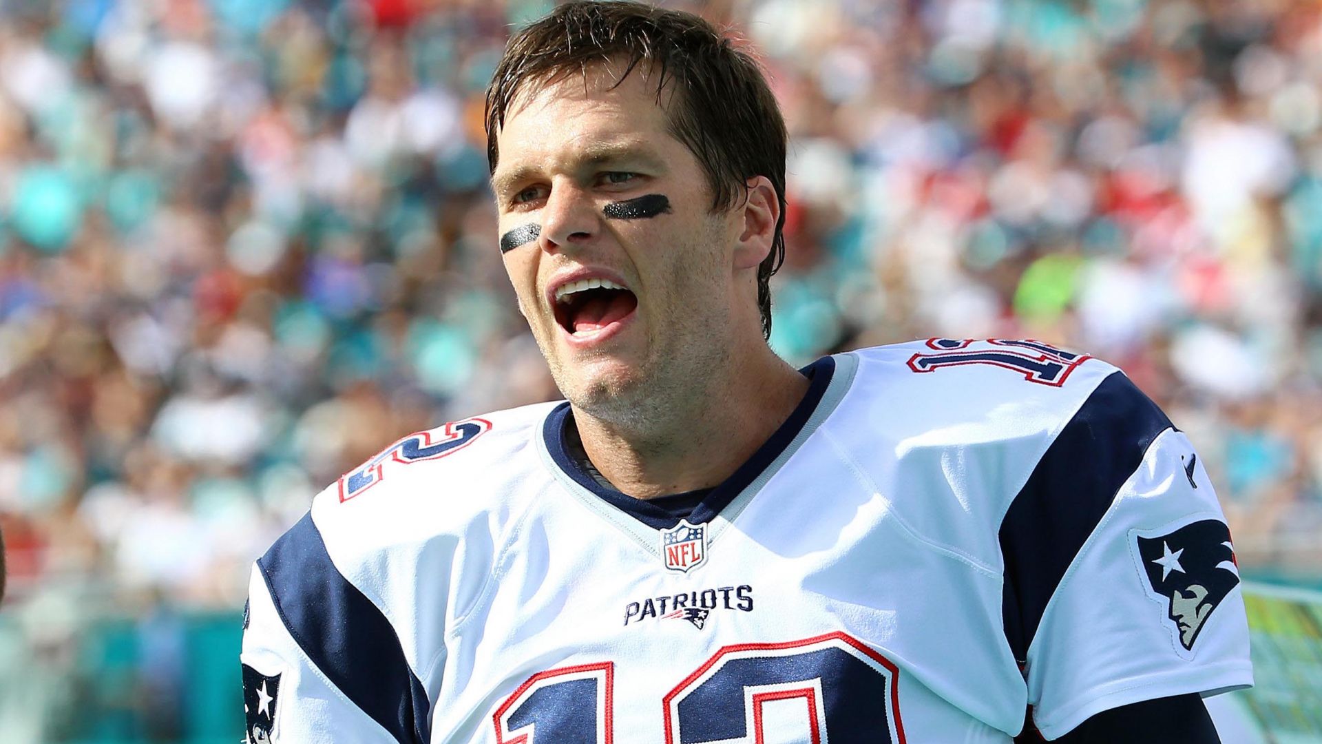 Wallpaper Tom Brady, american football, player, sports