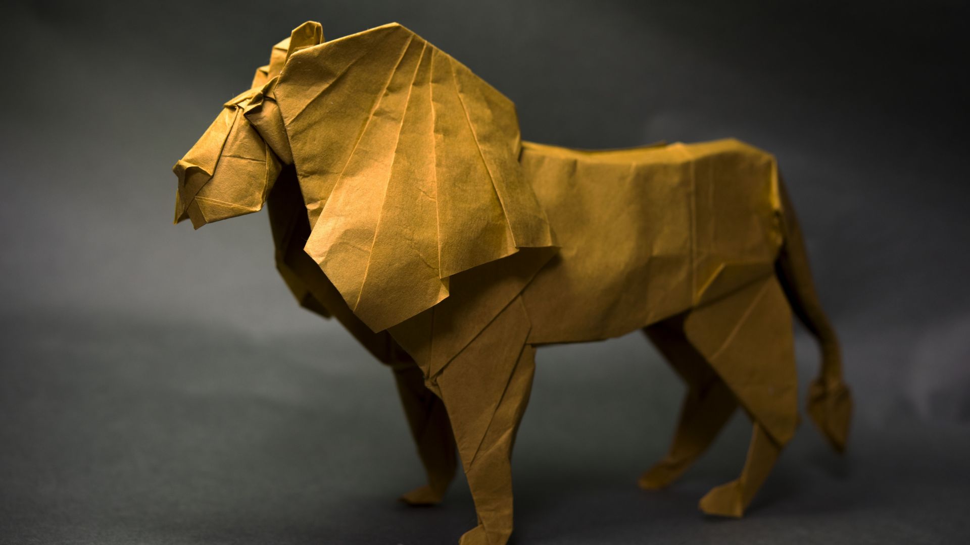 Wallpaper Paper lion, paper, beast