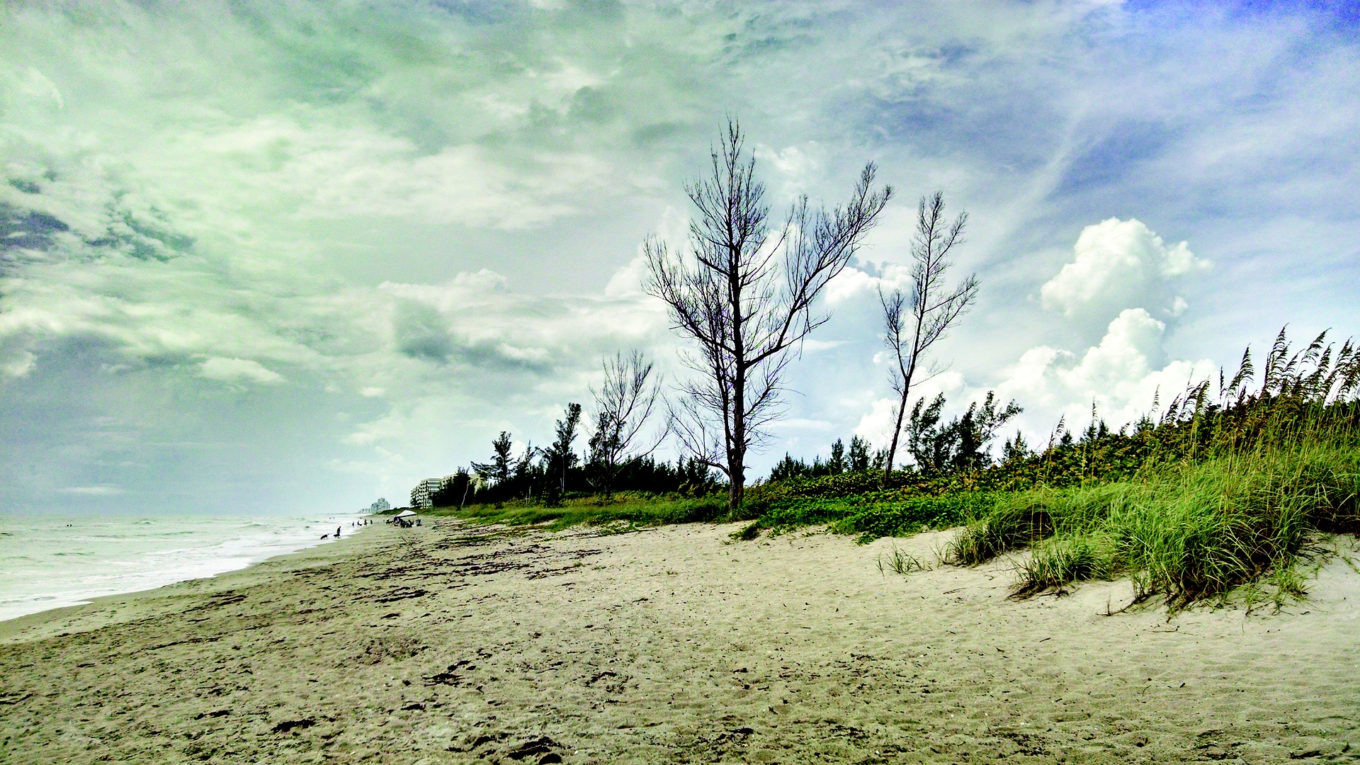 Wallpaper Clouds, beach, sand, tree