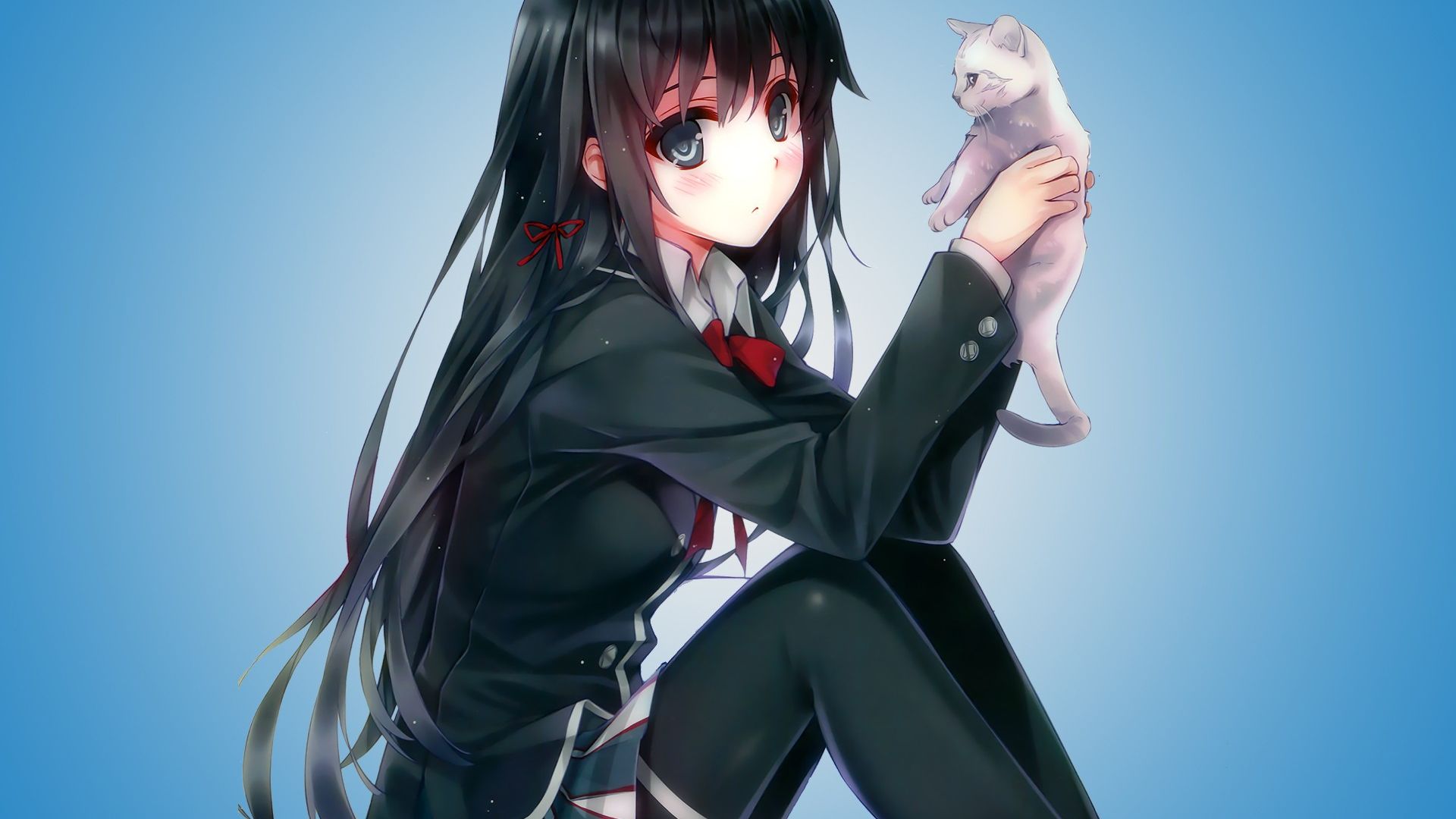 Wallpaper Gray eye anime girl with kitten