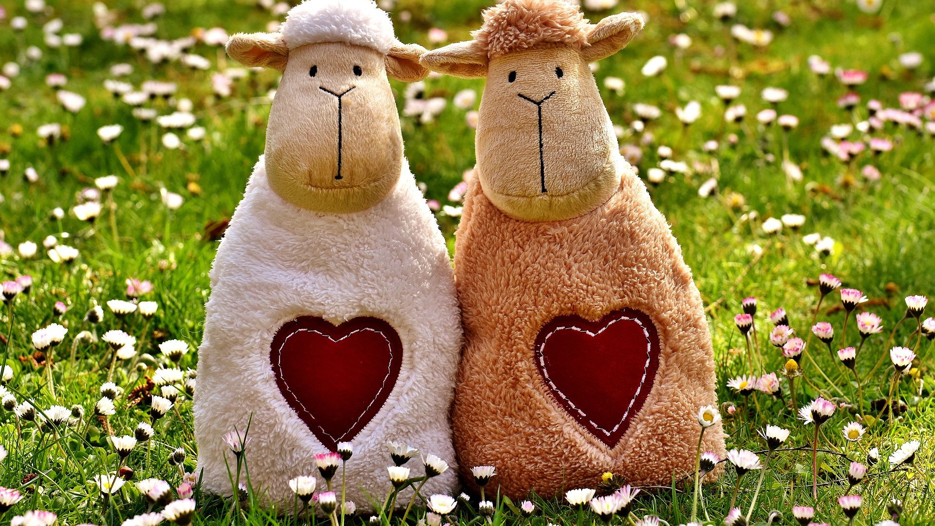 Wallpaper Sheep, love, heart, meadow, toys