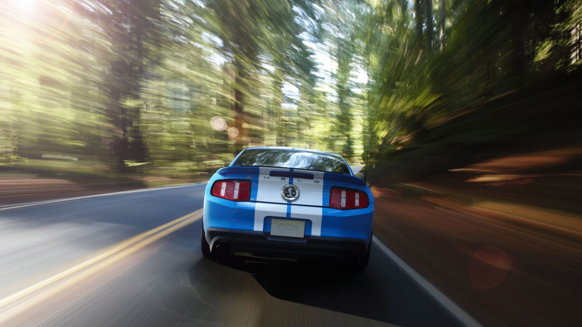 Wallpaper Ford mustang shelby gt500 car