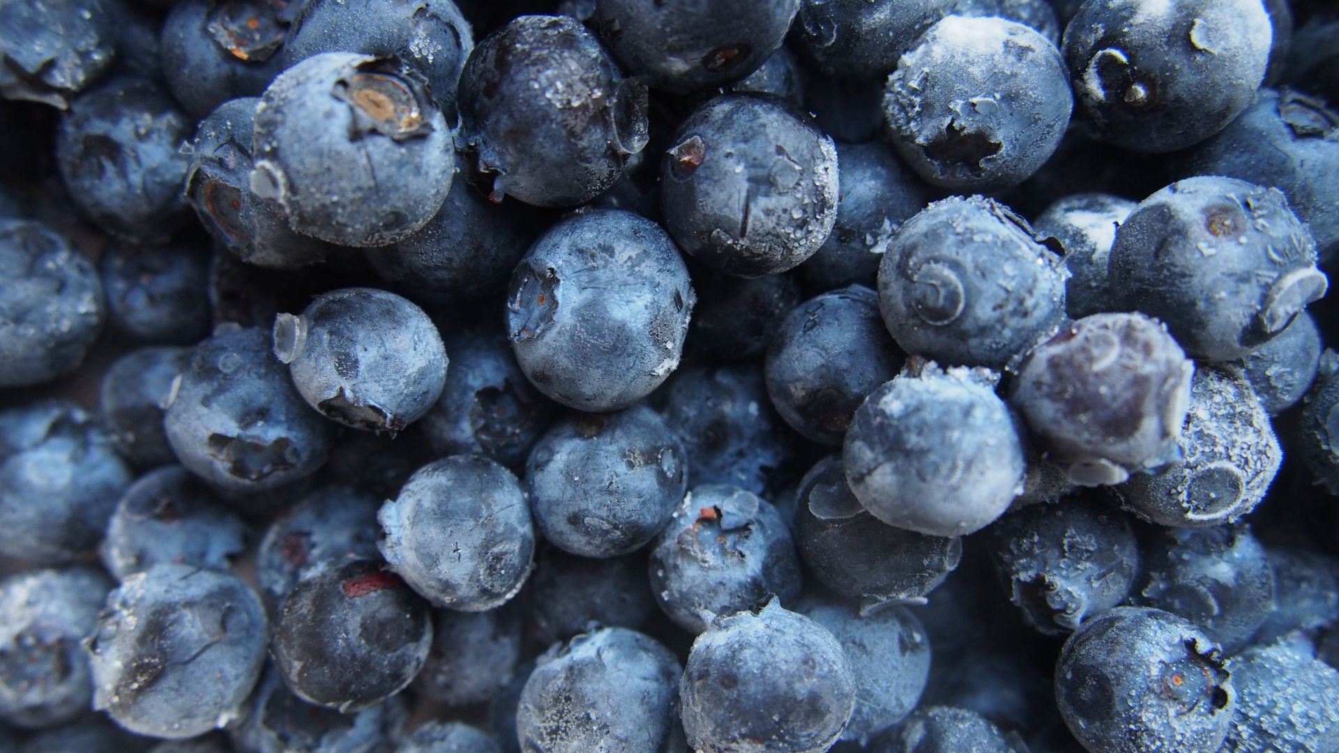 Wallpaper Blueberries, berries, close up