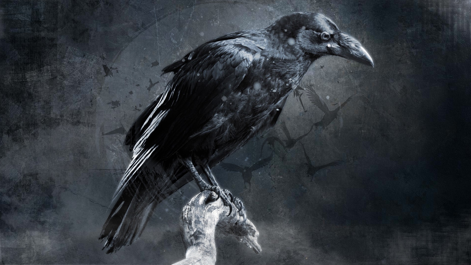 Desktop Wallpaper Raven, Crow, Bird, Art, Hd Image, Picture, Background,  Uxdh 9