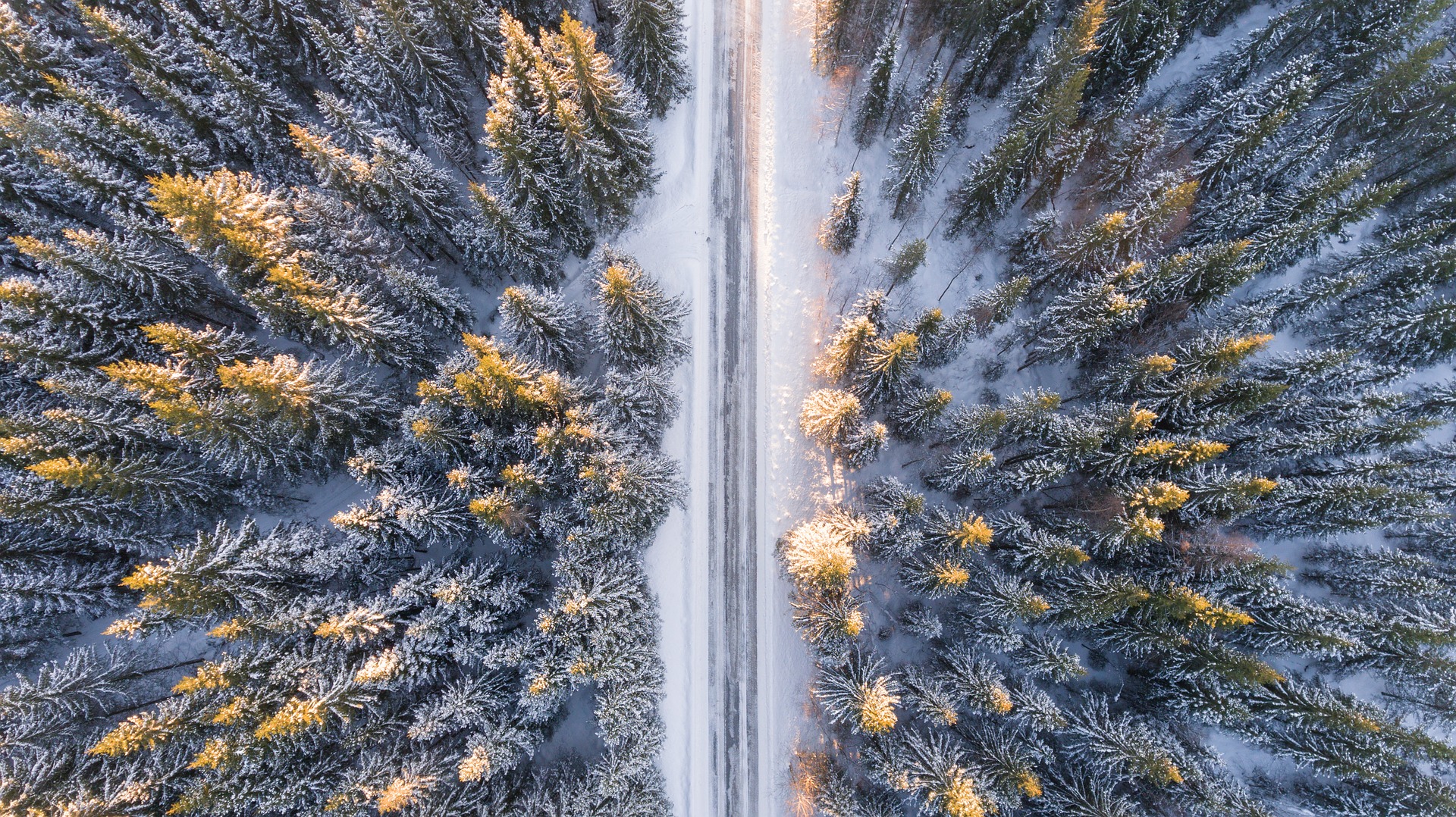 Wallpaper Aerial view, forest, trees, winter, road