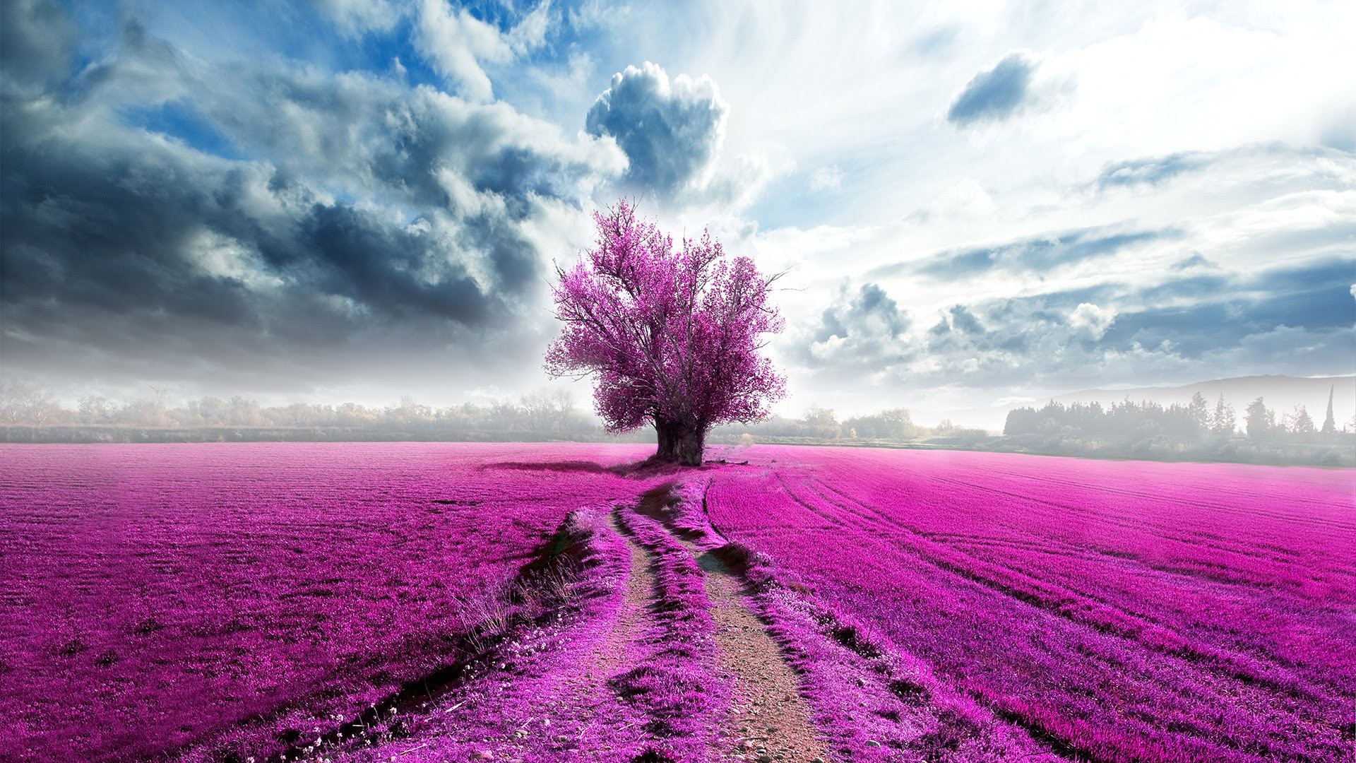 Wallpaper Tree, pink, clouds, horizon, artwork, landscape