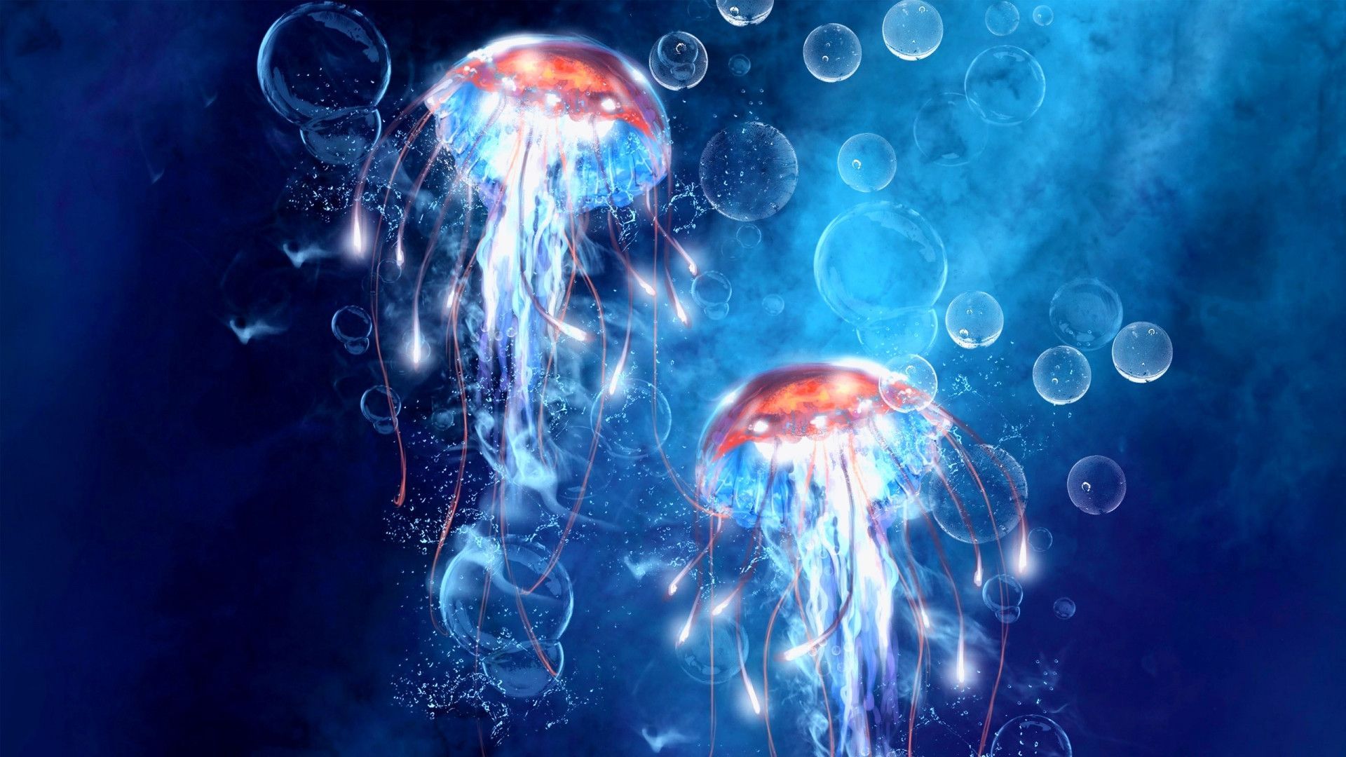 Wallpaper Beautiful jelly fish under water