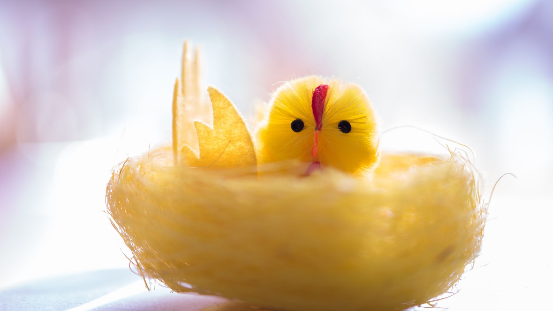 Wallpaper Yellow chick, toy, decorations
