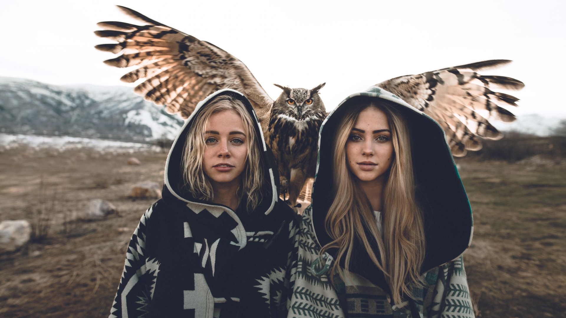 Wallpaper Owl bird, blonde, girls