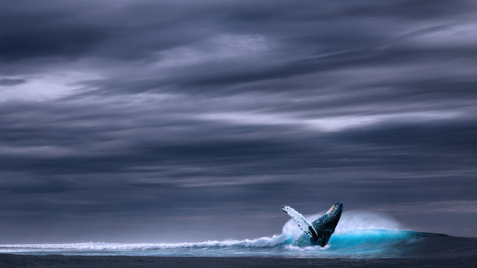 Wallpaper Sea wave, whale, rainy side