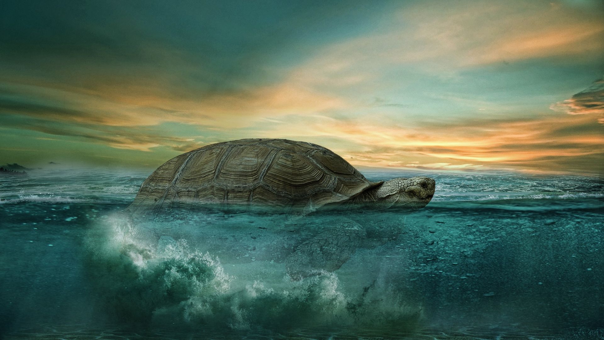 Wallpaper Turtle, sea, fantasy, skyline