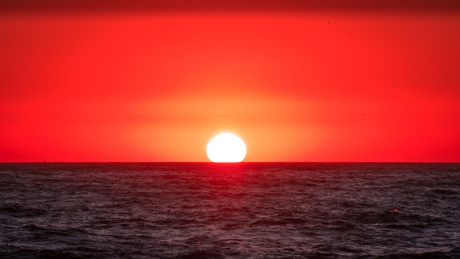Wallpaper Sunset, sun, sea, nature