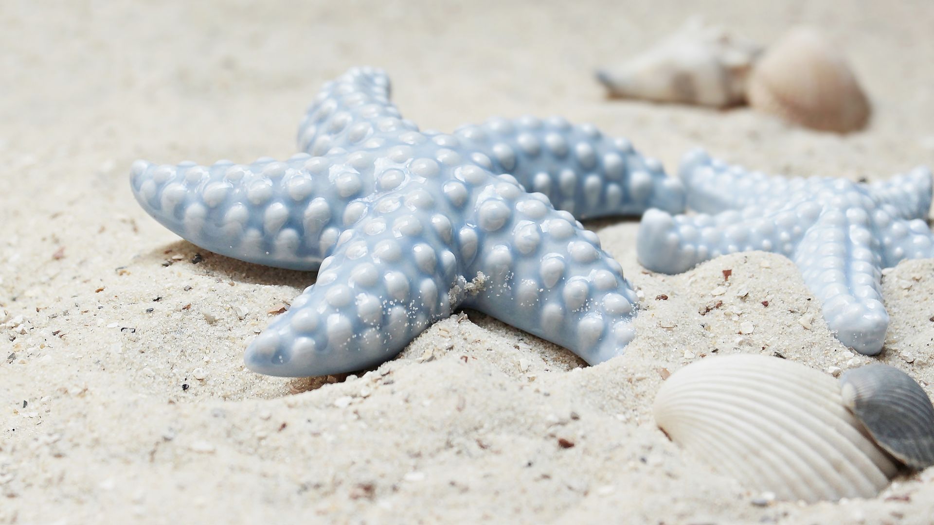 Wallpaper Starfish, shell, sand