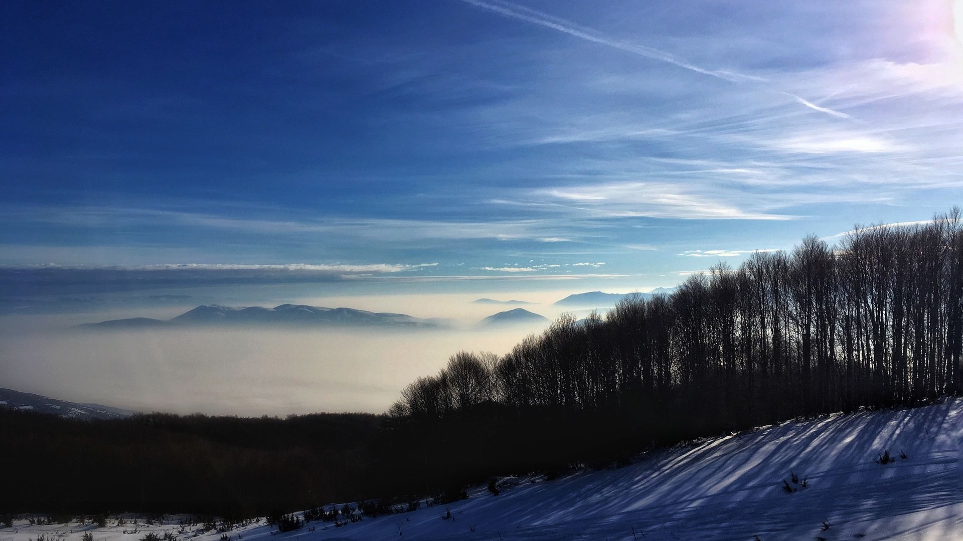 Wallpaper Horizon, winter, snow, landscape, tree, nature, fog